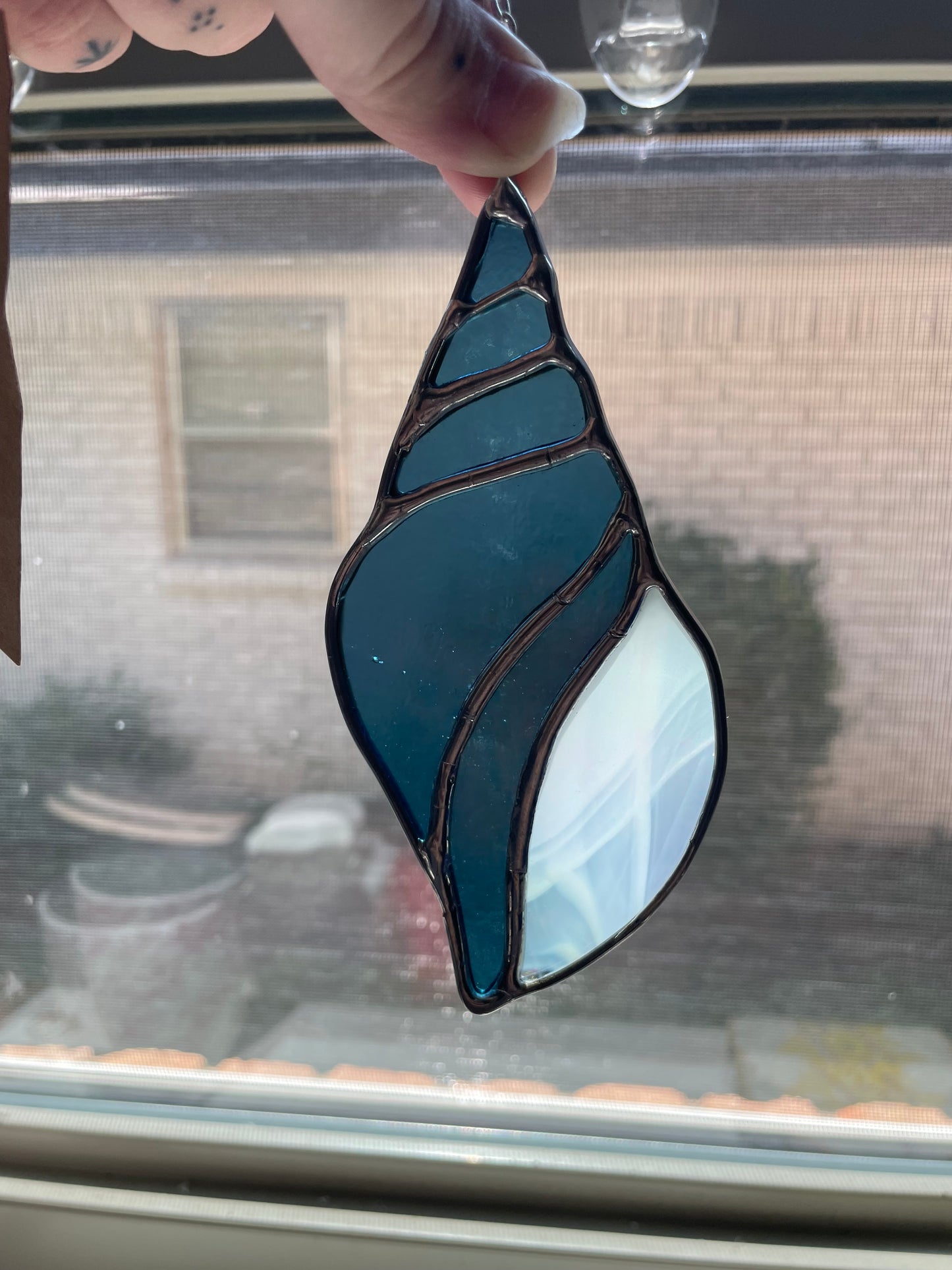 Blue seashell