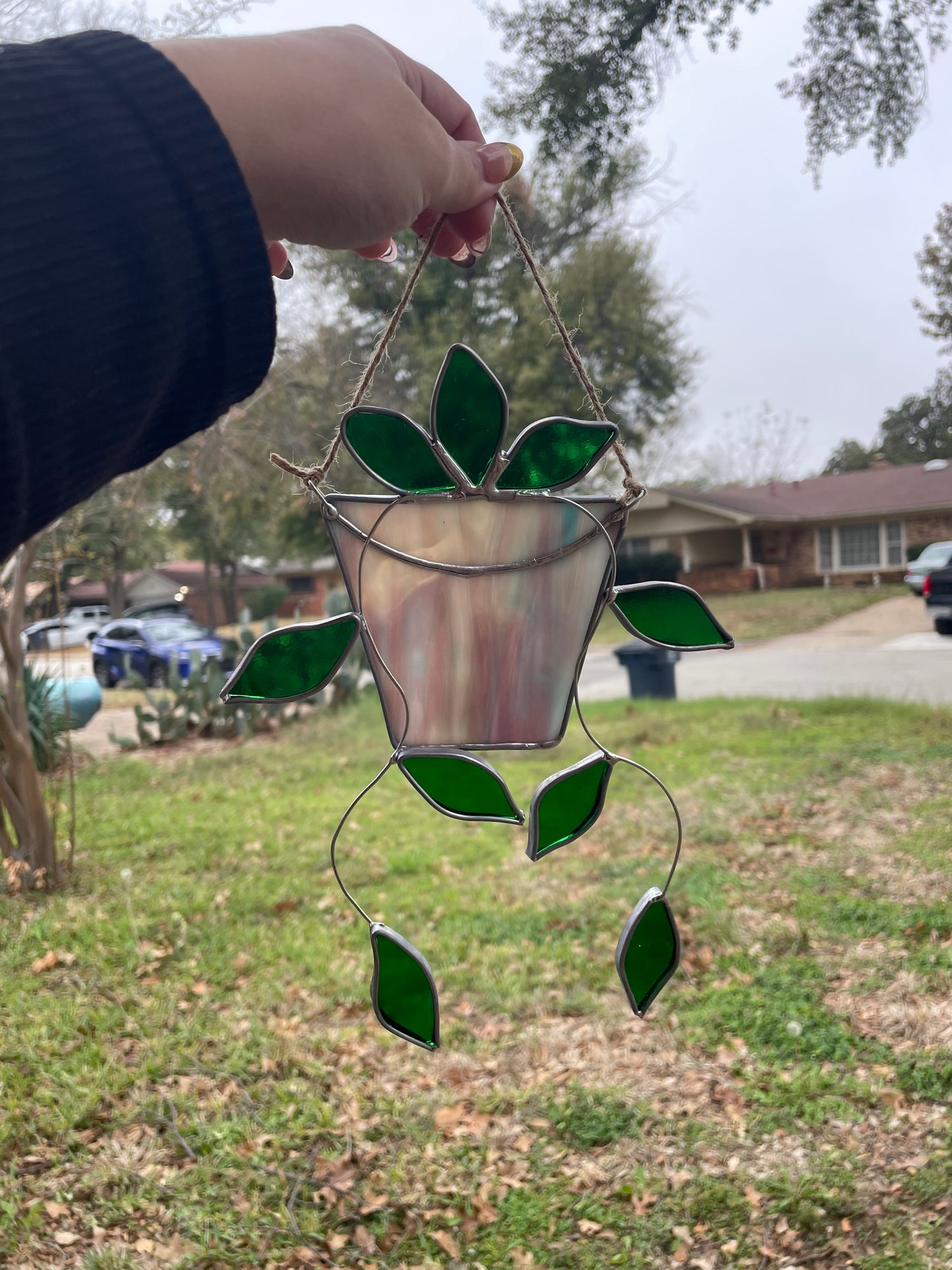 Hanging pothos plant in a marbled pot