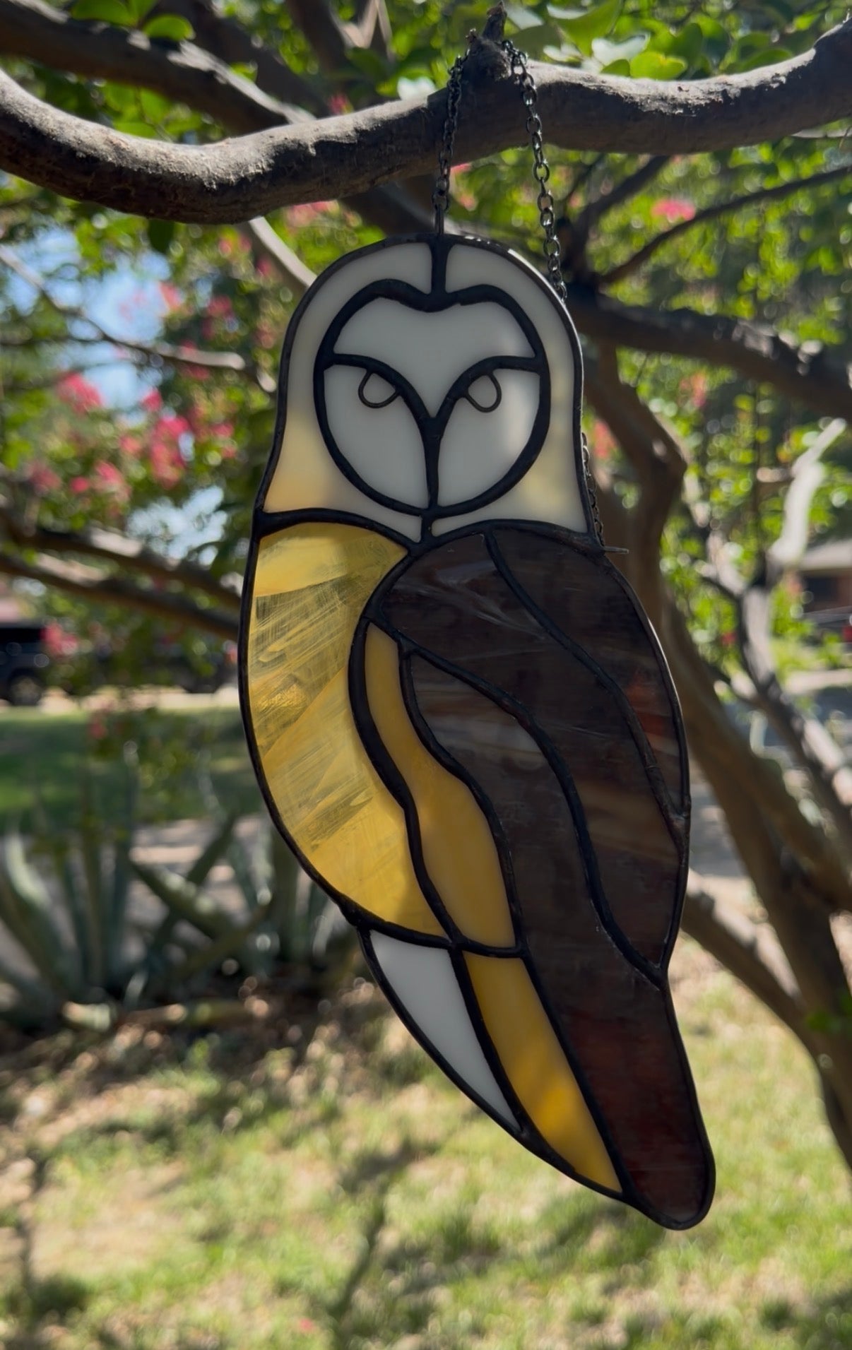 Owl