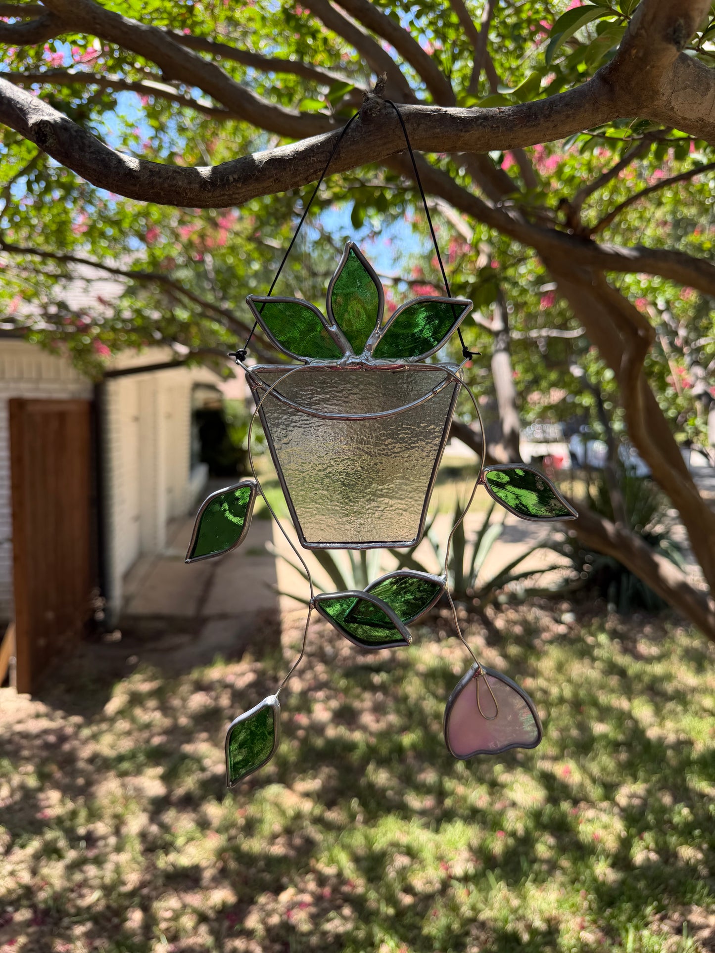 Hanging plant in gray