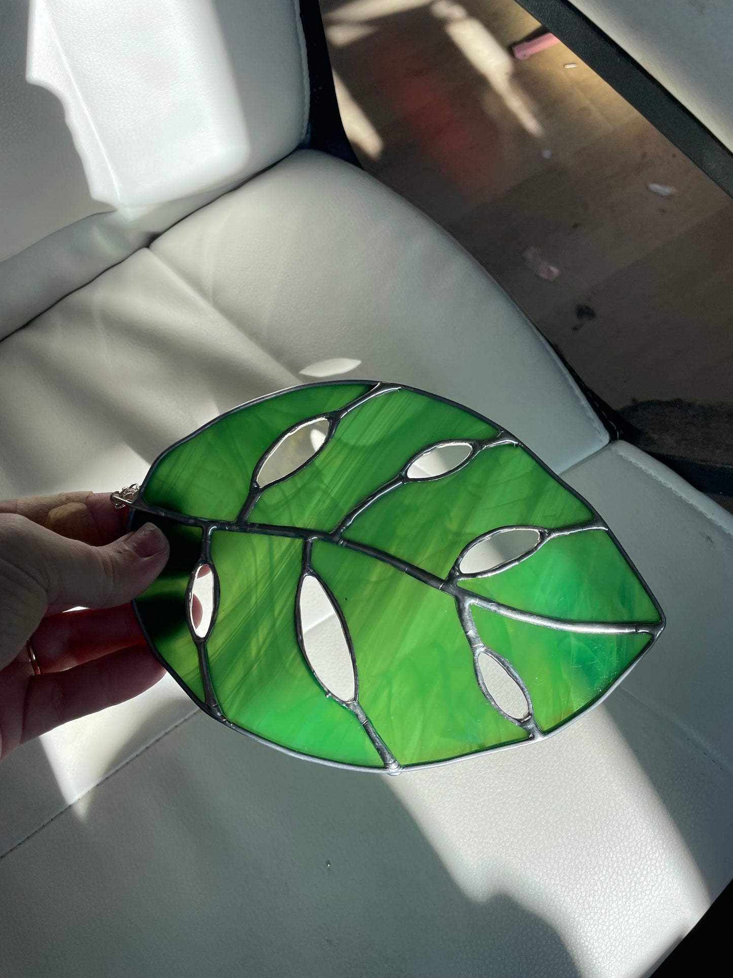 Swirled green monstera leaf