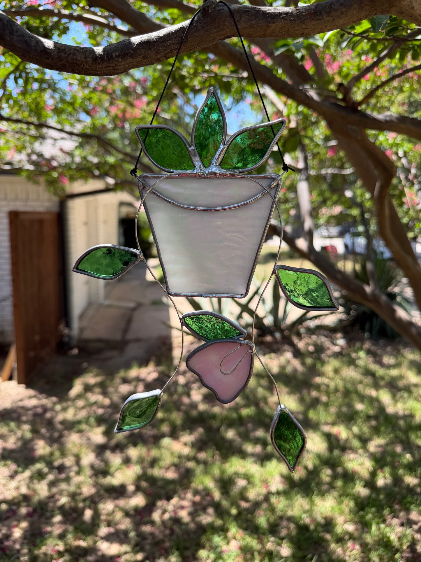 Hanging plant in white