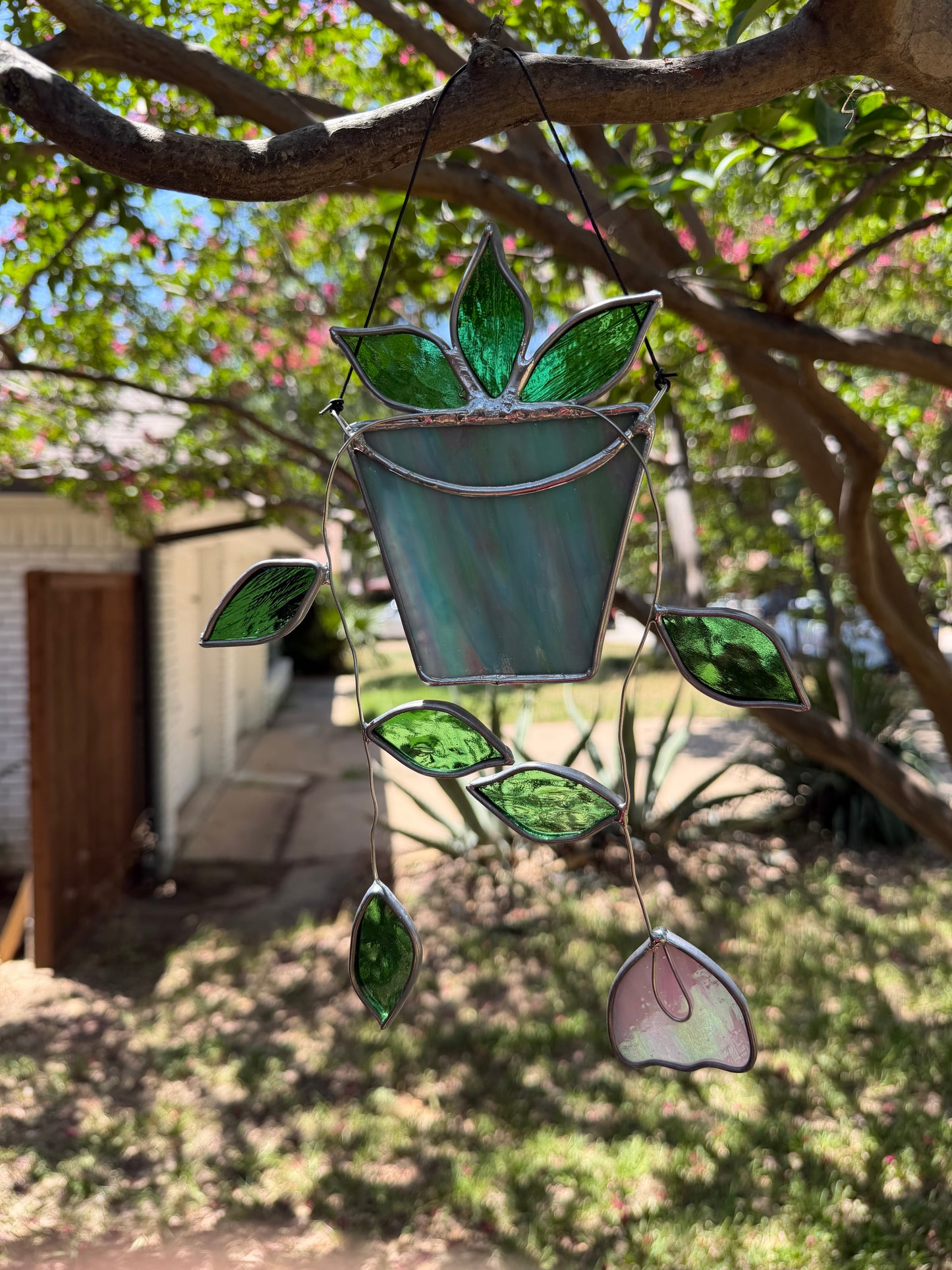 Hanging plant in pink and blue