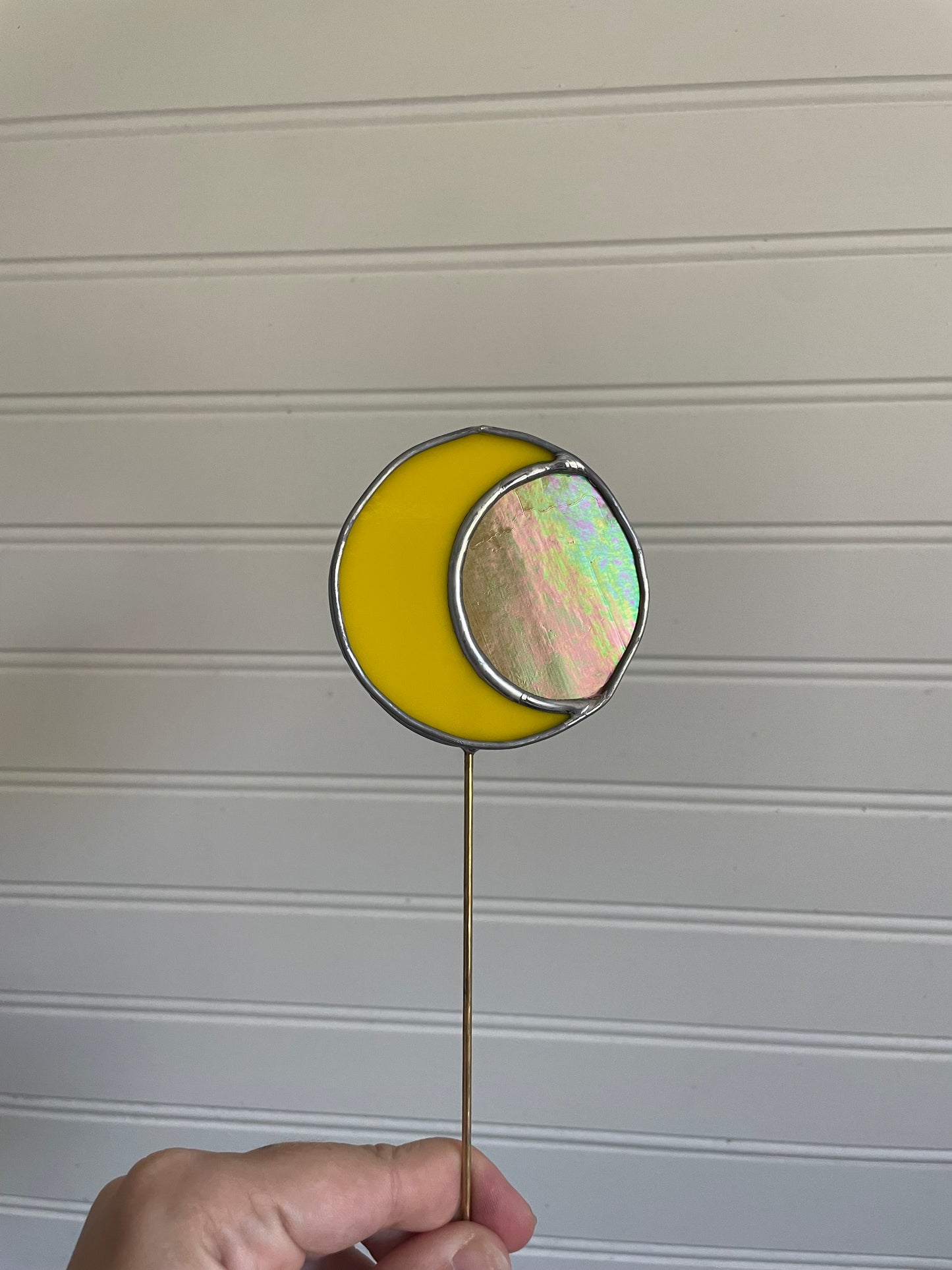 Yellow moon plant stake