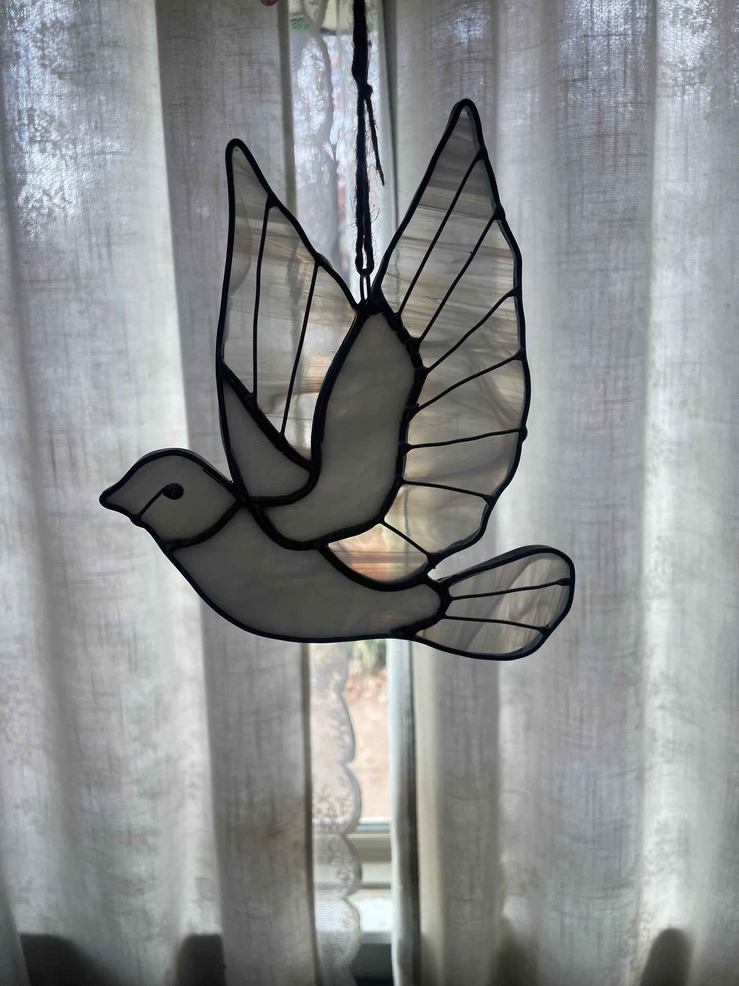 Dove of peace