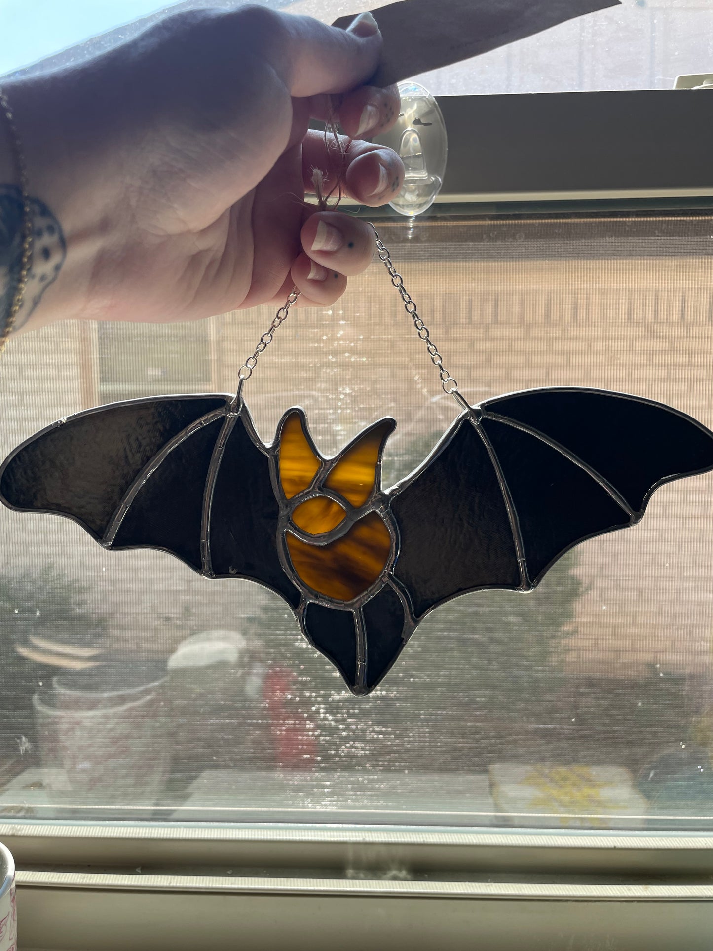 Black winged bat