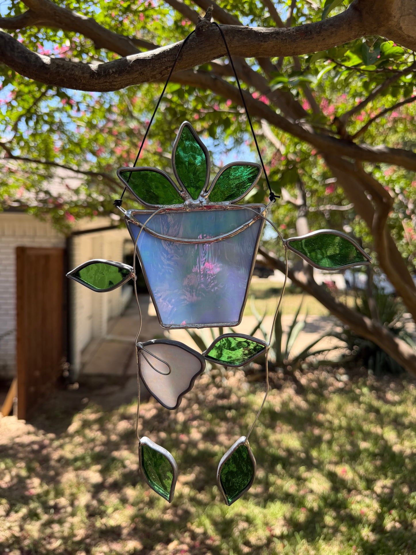 Hanging plant in light blue