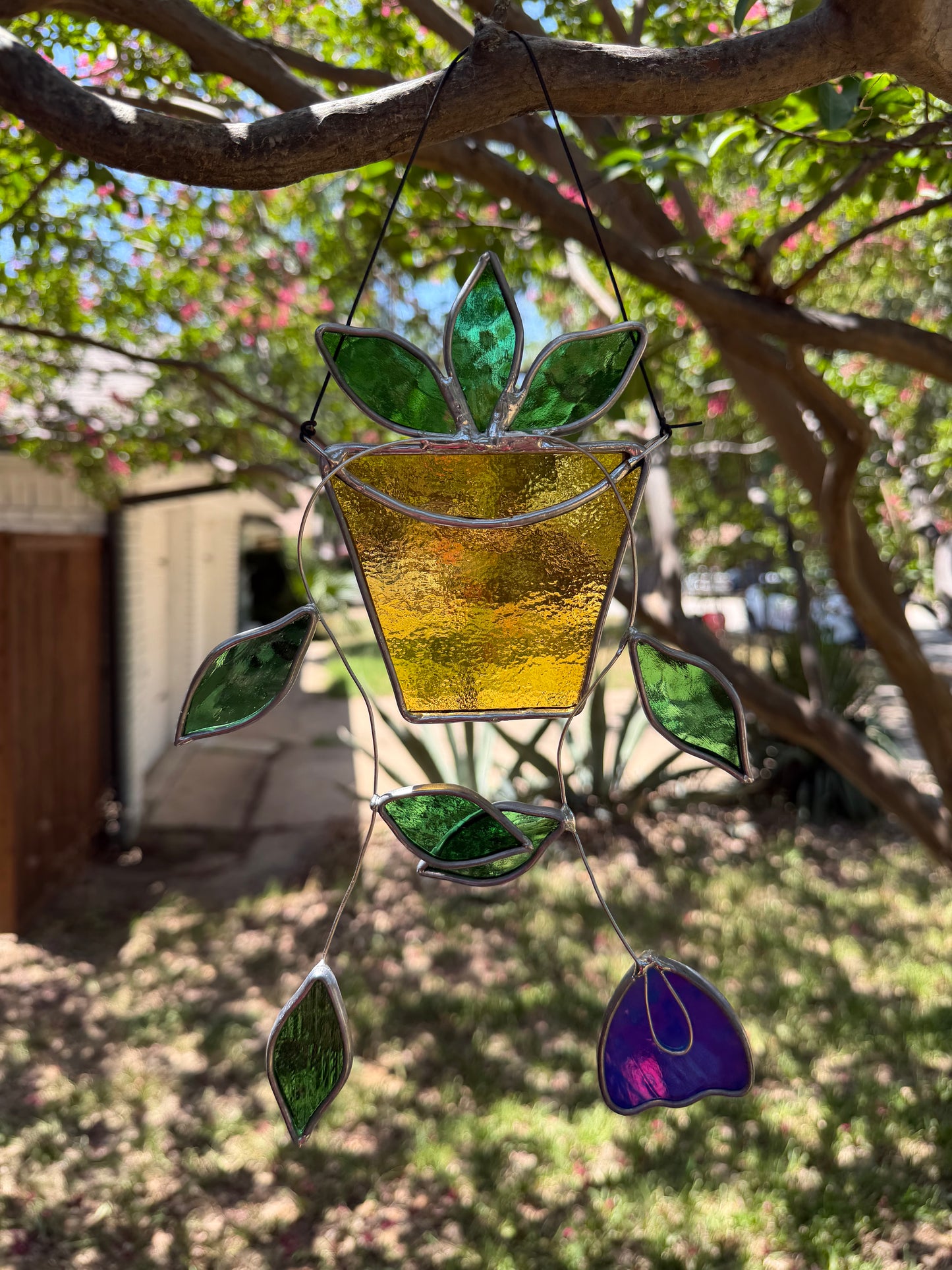 Hanging plant in yellow