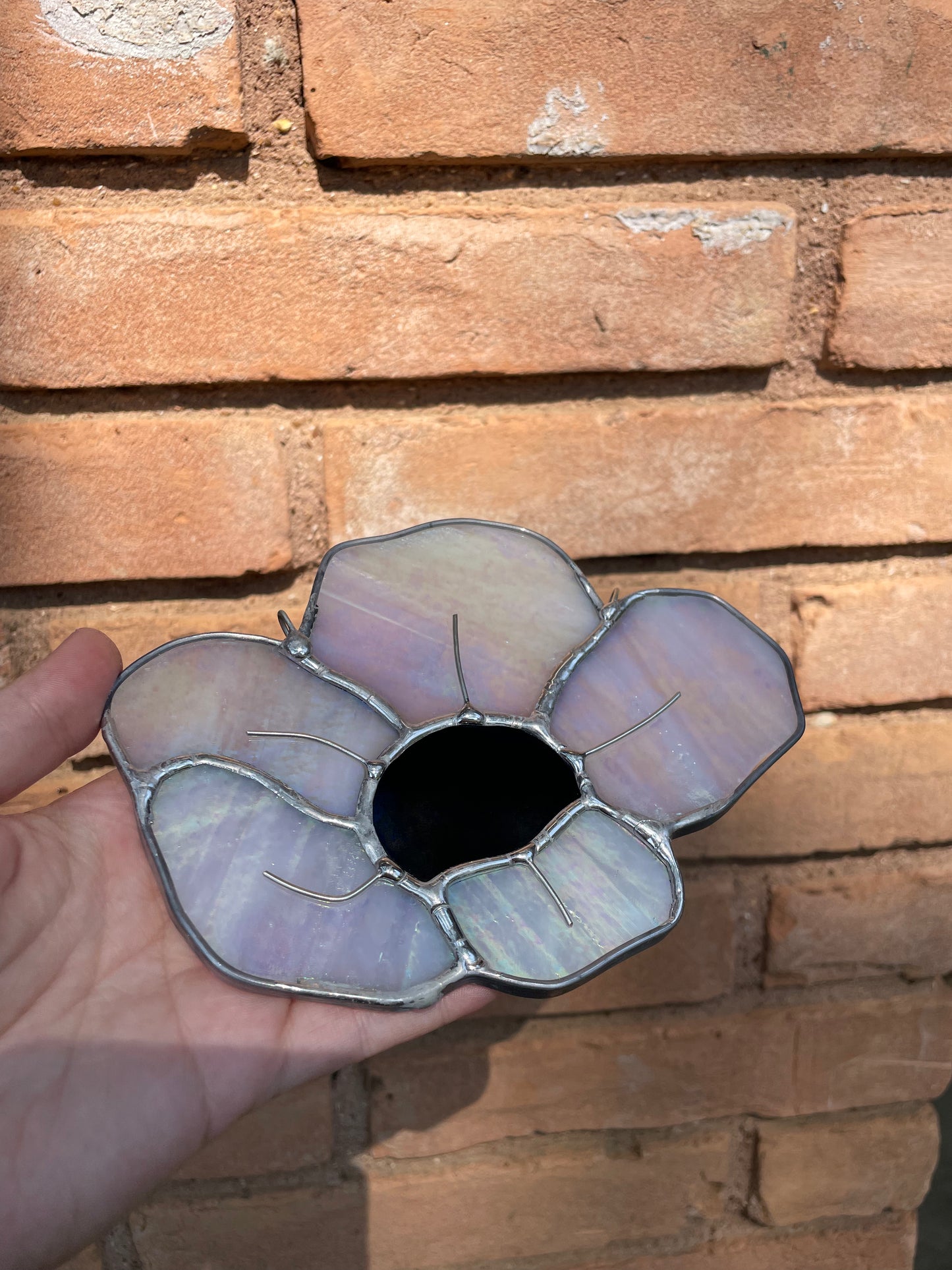 Magnolia flower