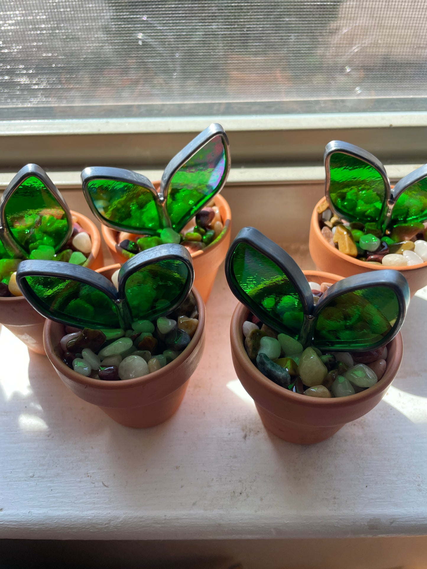 2” potted plant