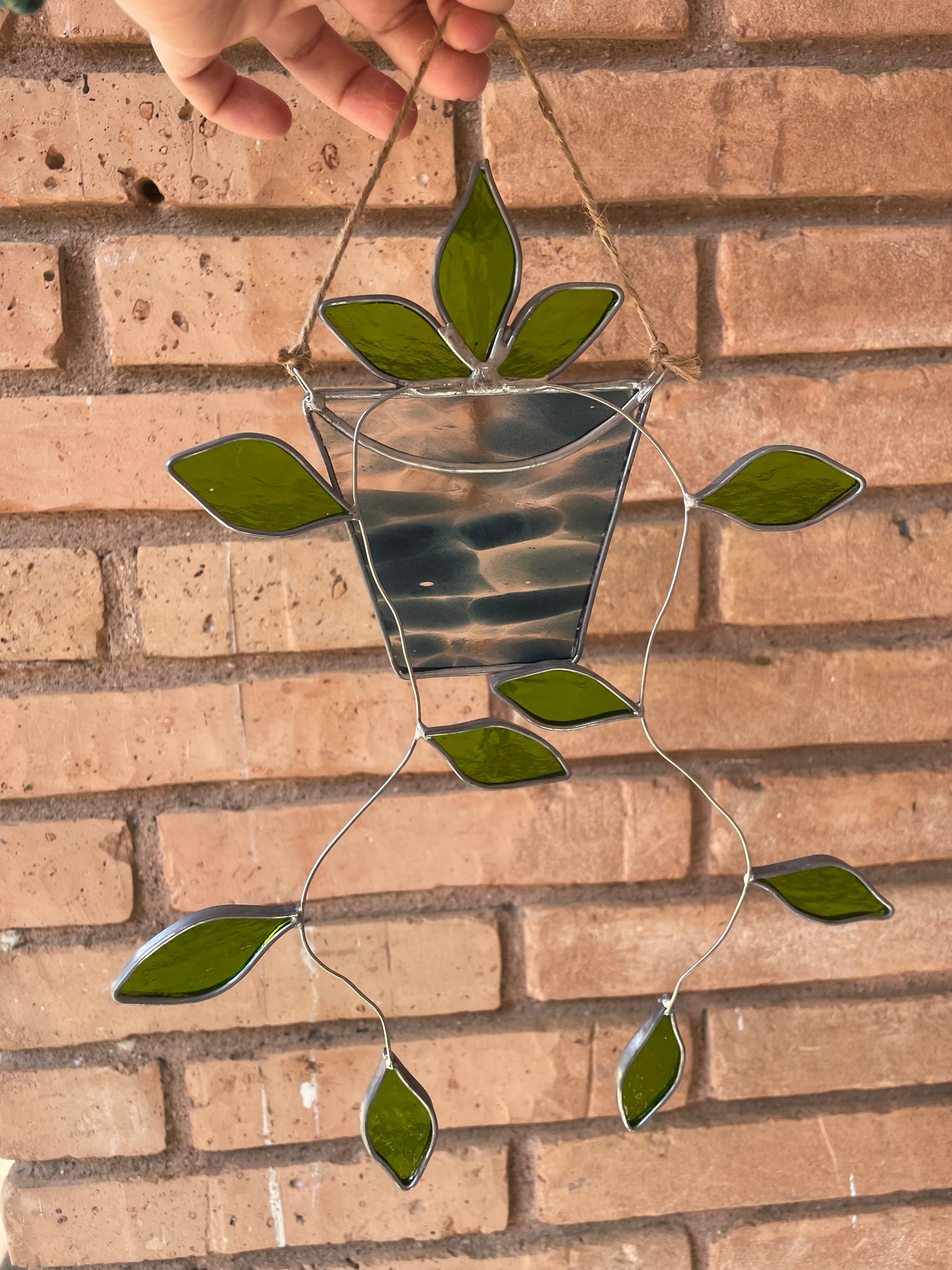 Hanging pothos in a spotted blue pot