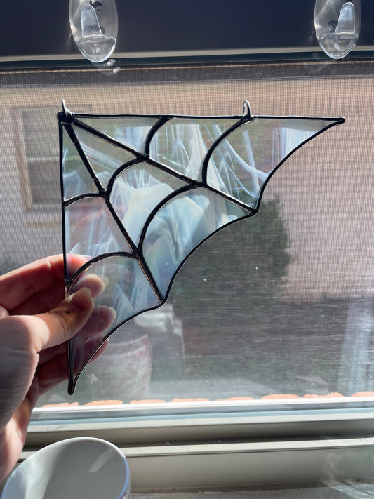 Iridescent whispy spider web