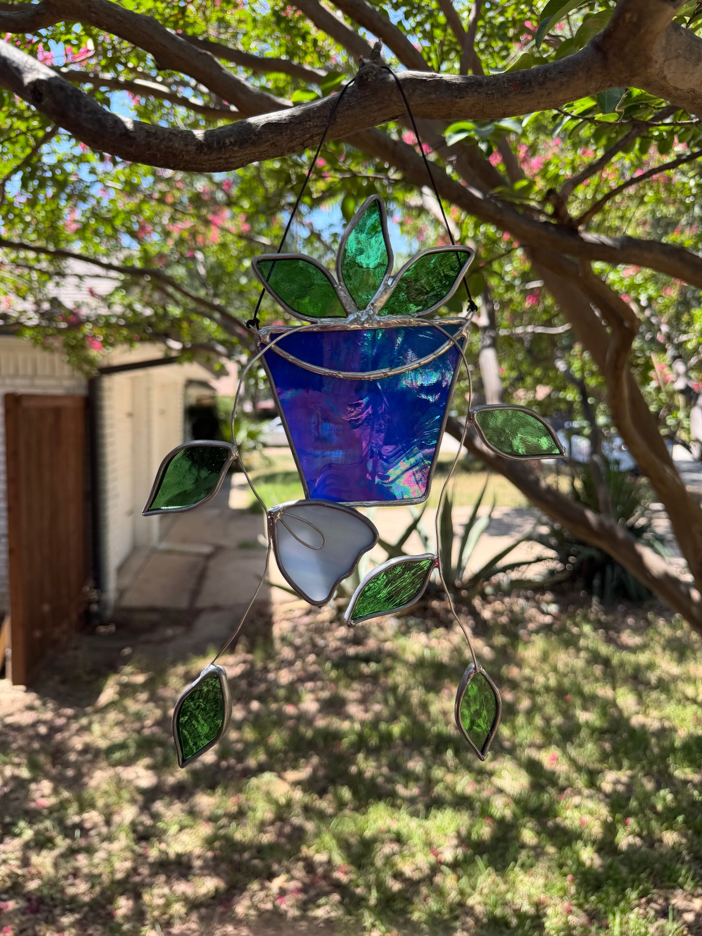 Hanging plant in dark blue