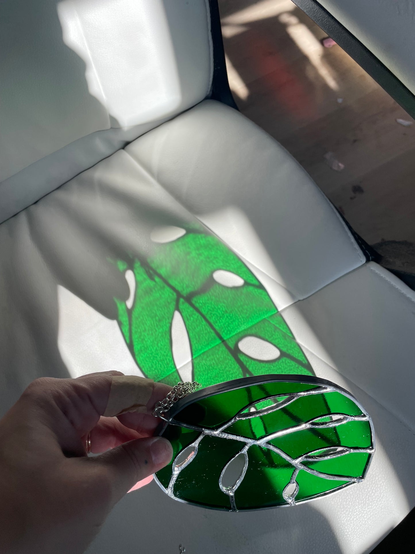 Translucent green monstera leaf