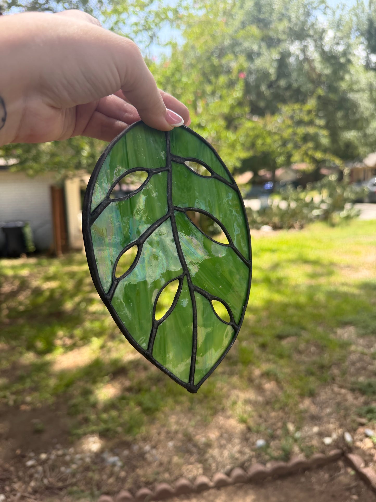 Mottled leaf