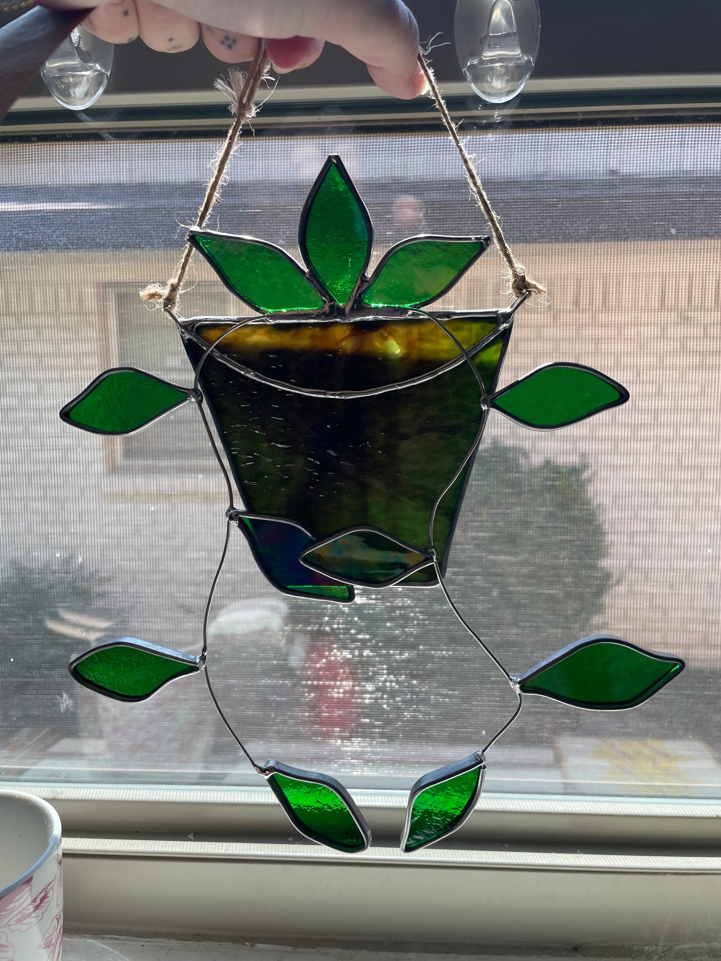 Hanging pothos in a green and brown pot