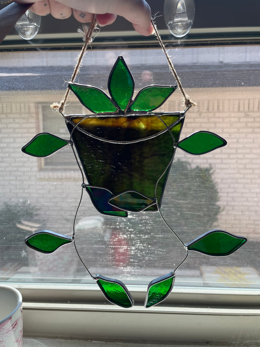 Hanging pothos in a green and brown pot