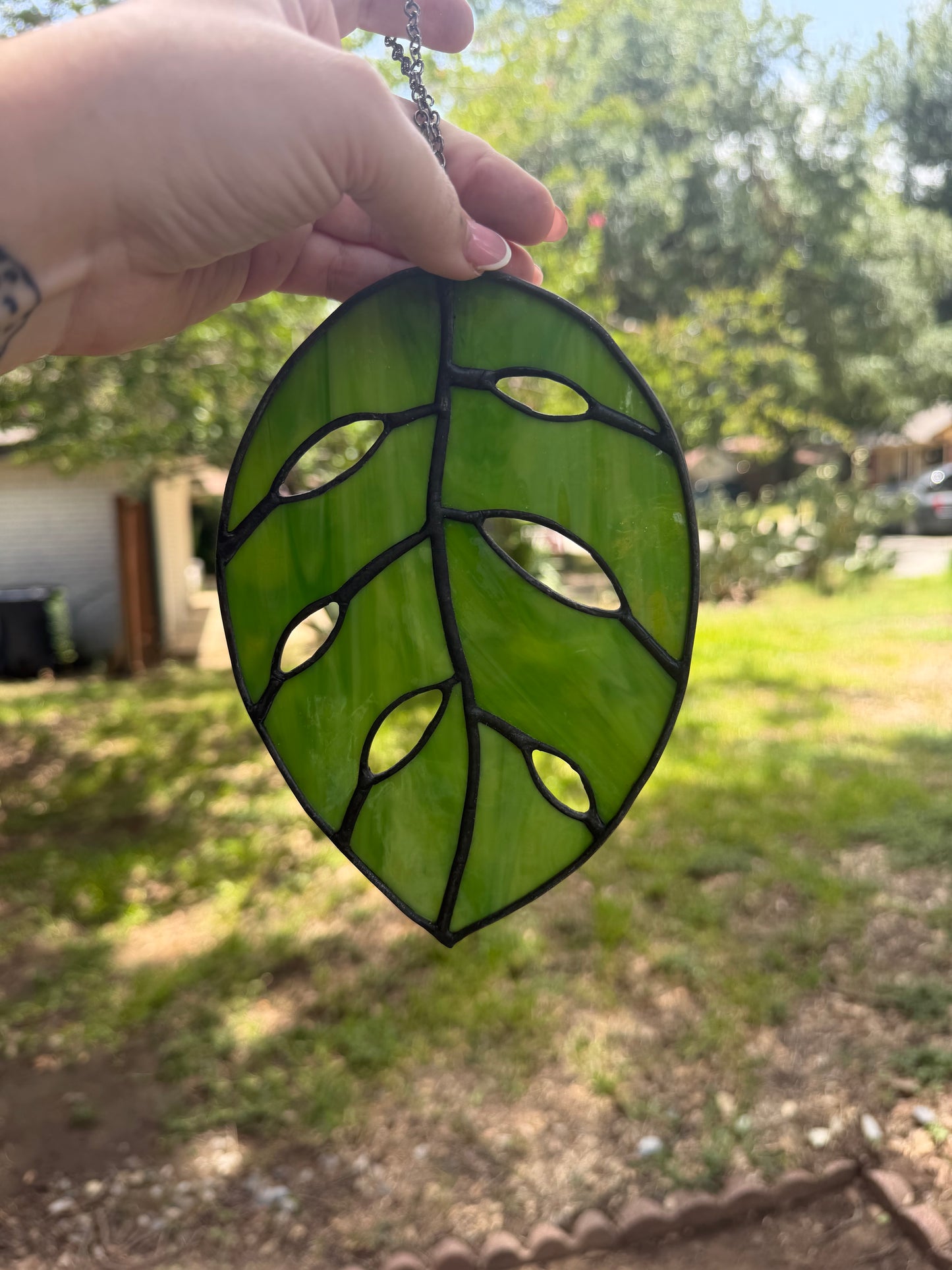 Mottled leaf