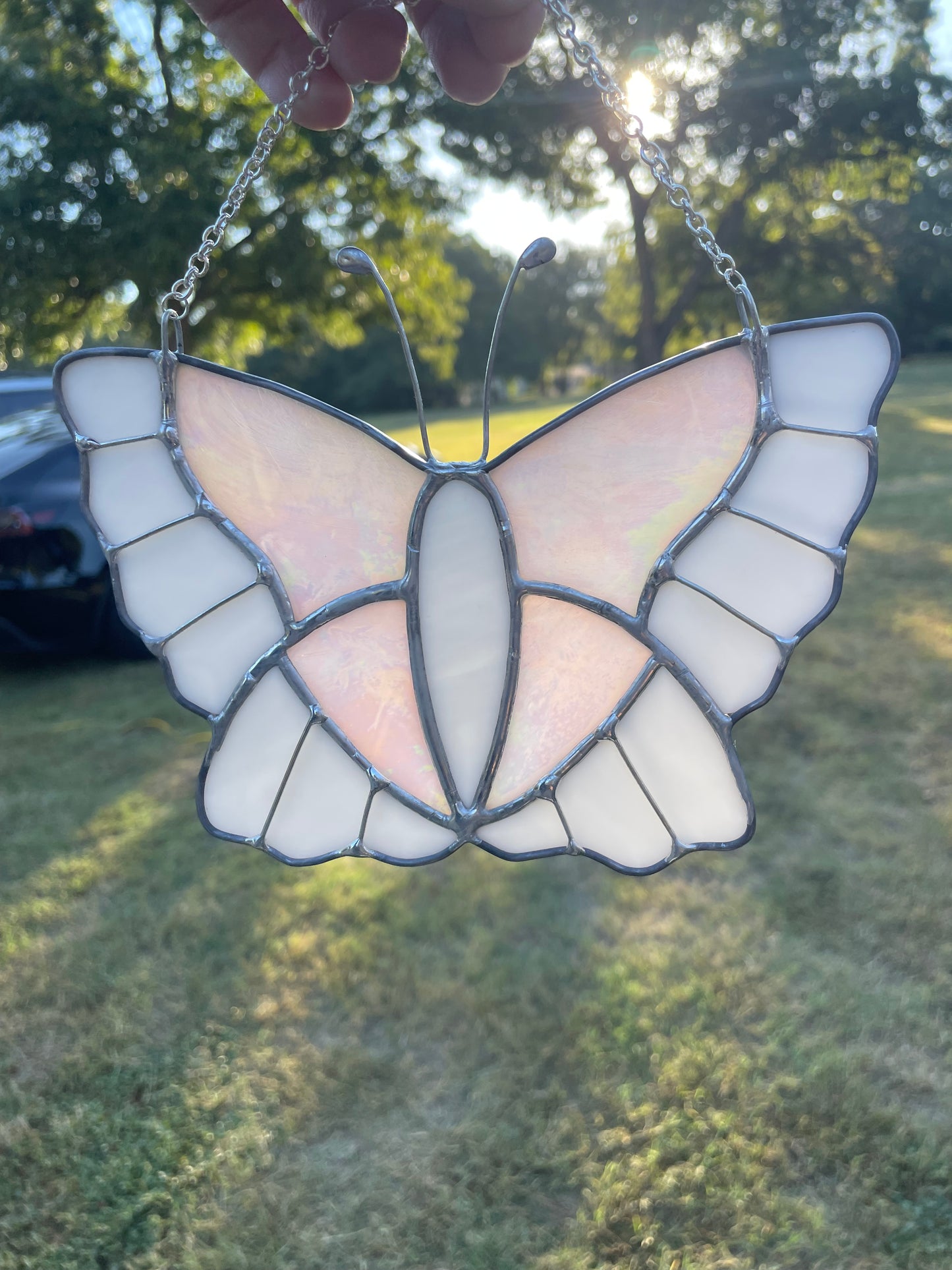 Pink butterfly