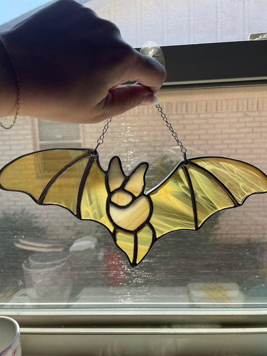 Amber winged bat