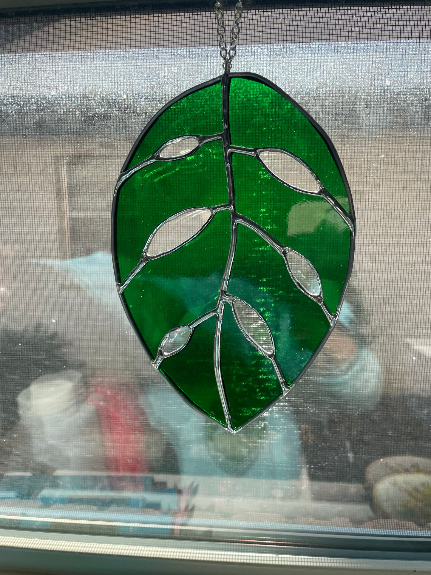Translucent green monstera leaf