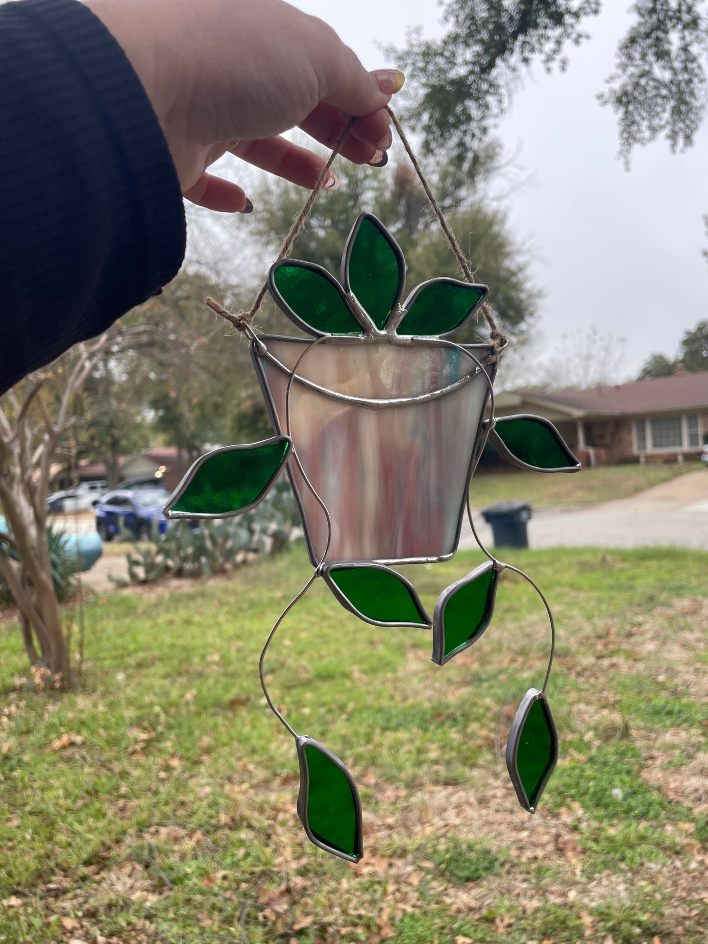 Hanging pothos plant in a marbled pot