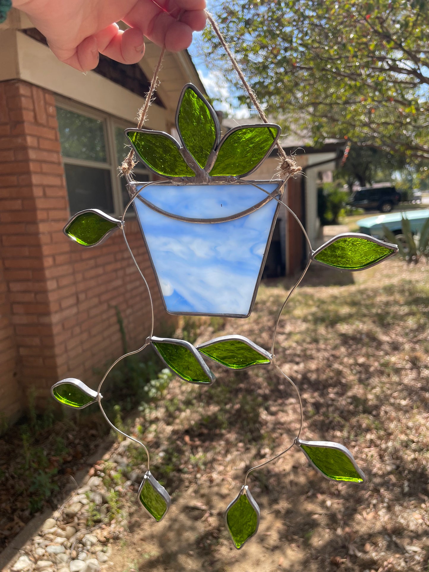 Hanging pothos in a light blue pot