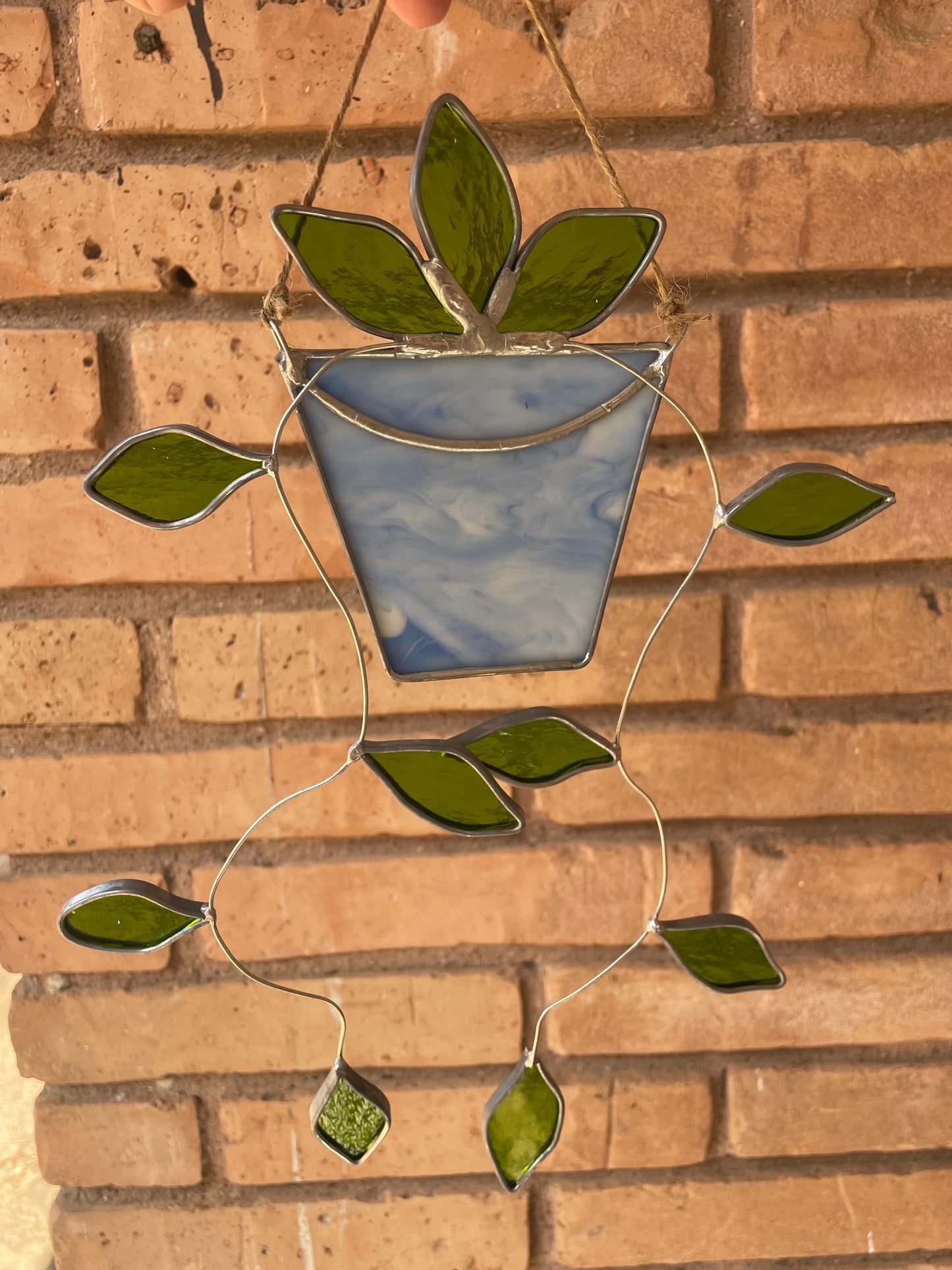 Hanging pothos in a light blue pot