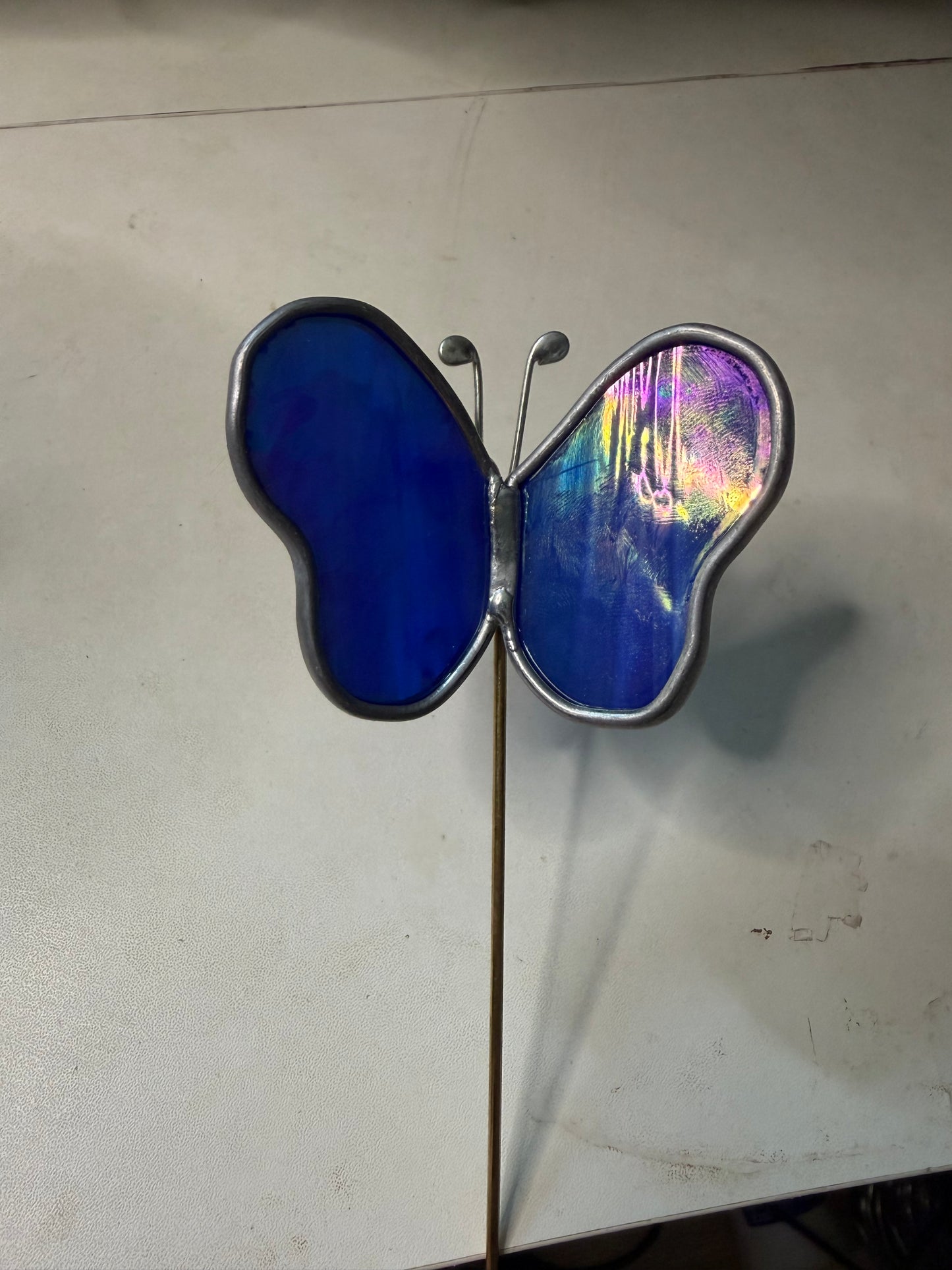 Dark blue butterfly plant stake