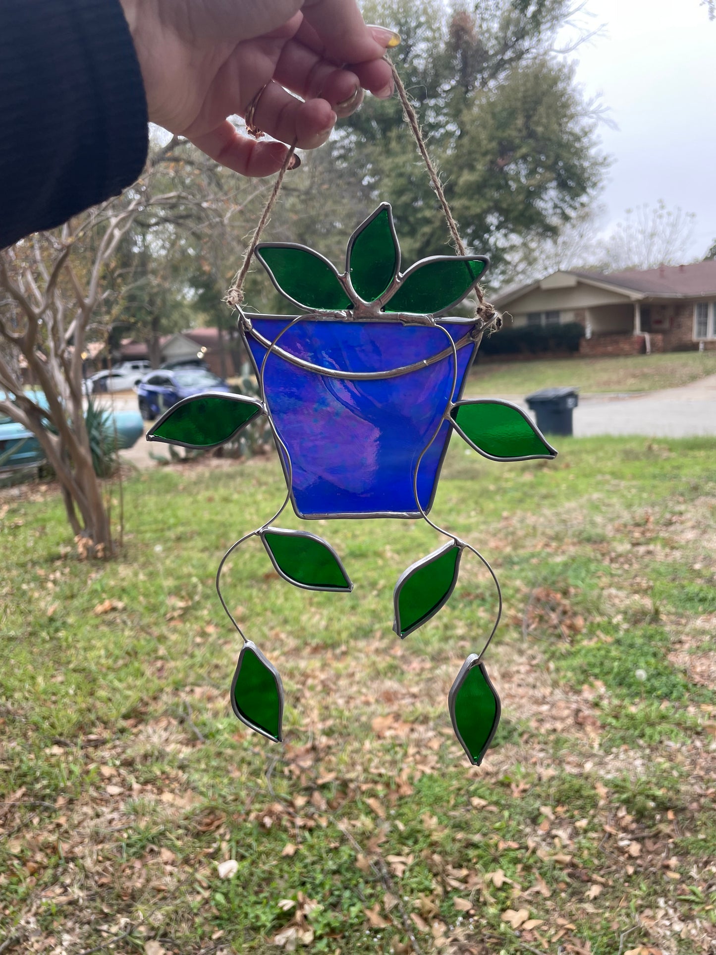 Hanging pothos plant in a irid blue pot