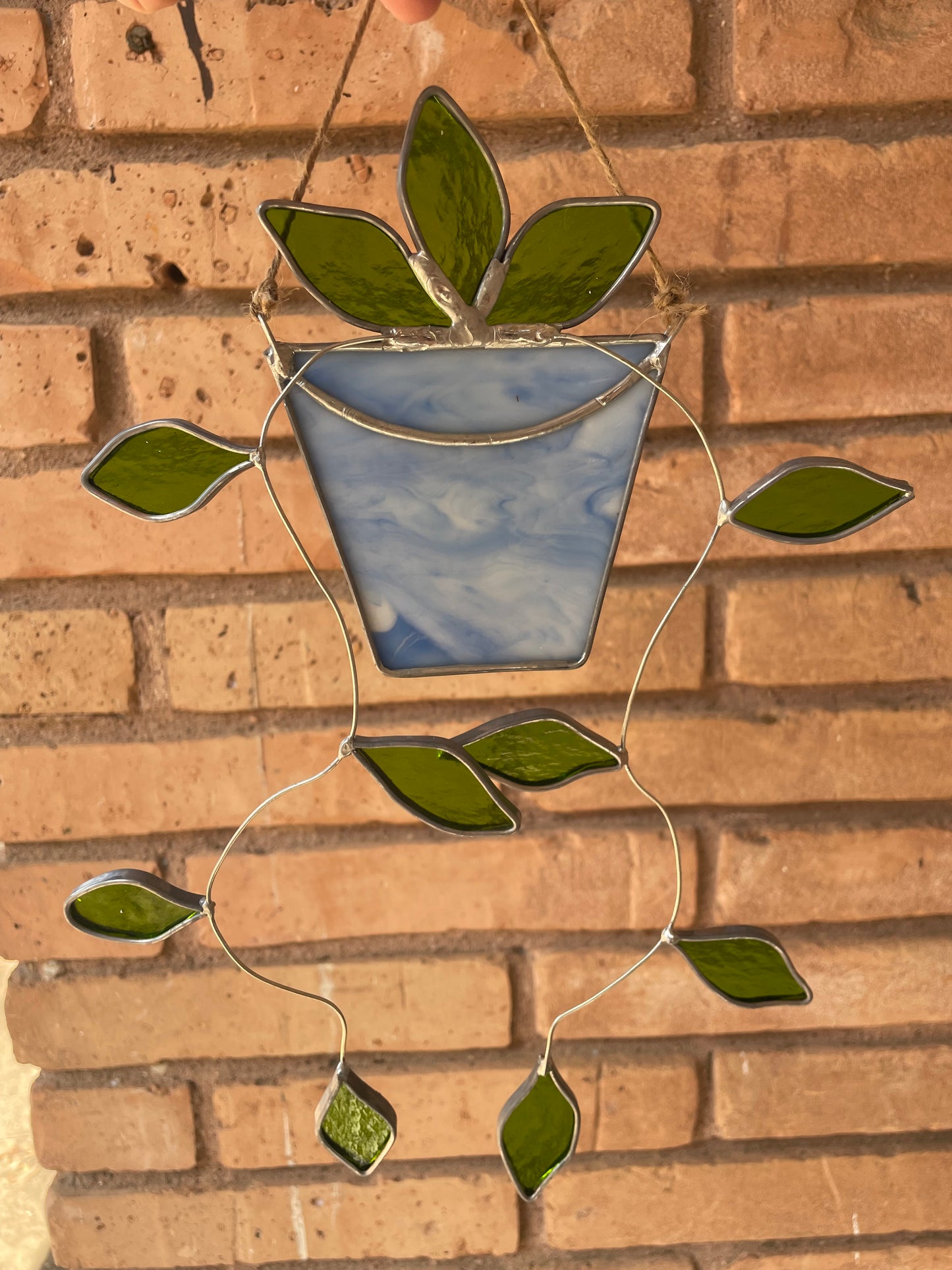Hanging pothos in a light blue pot