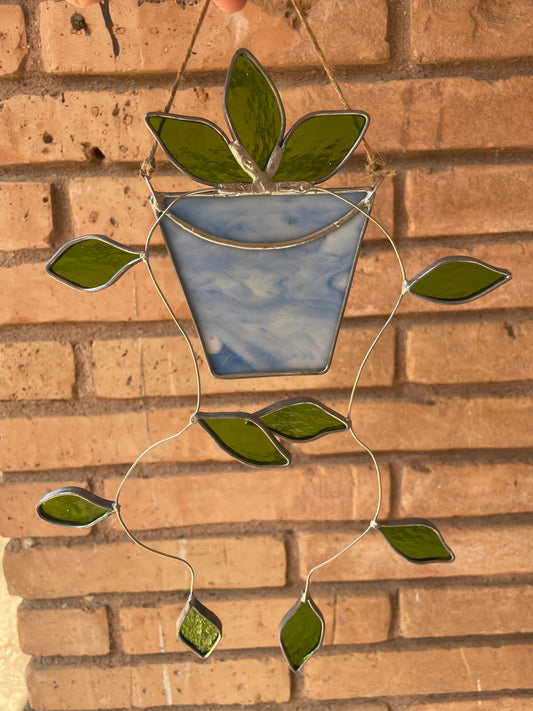 Hanging pothos in a light blue pot
