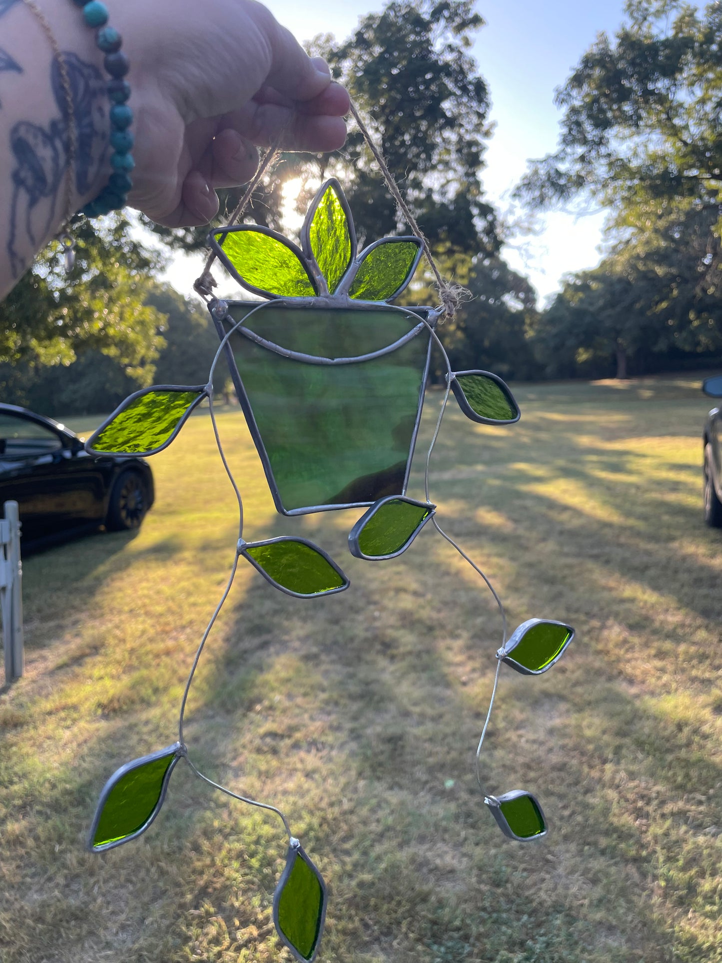 Hanging pothos in a green pot