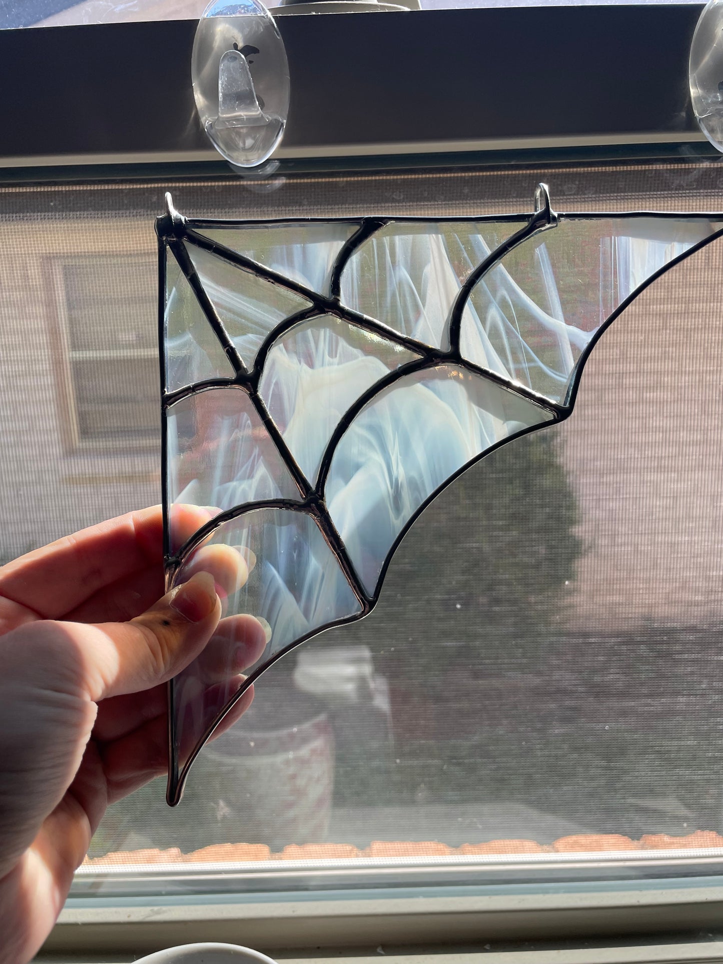 Iridescent whispy spider web