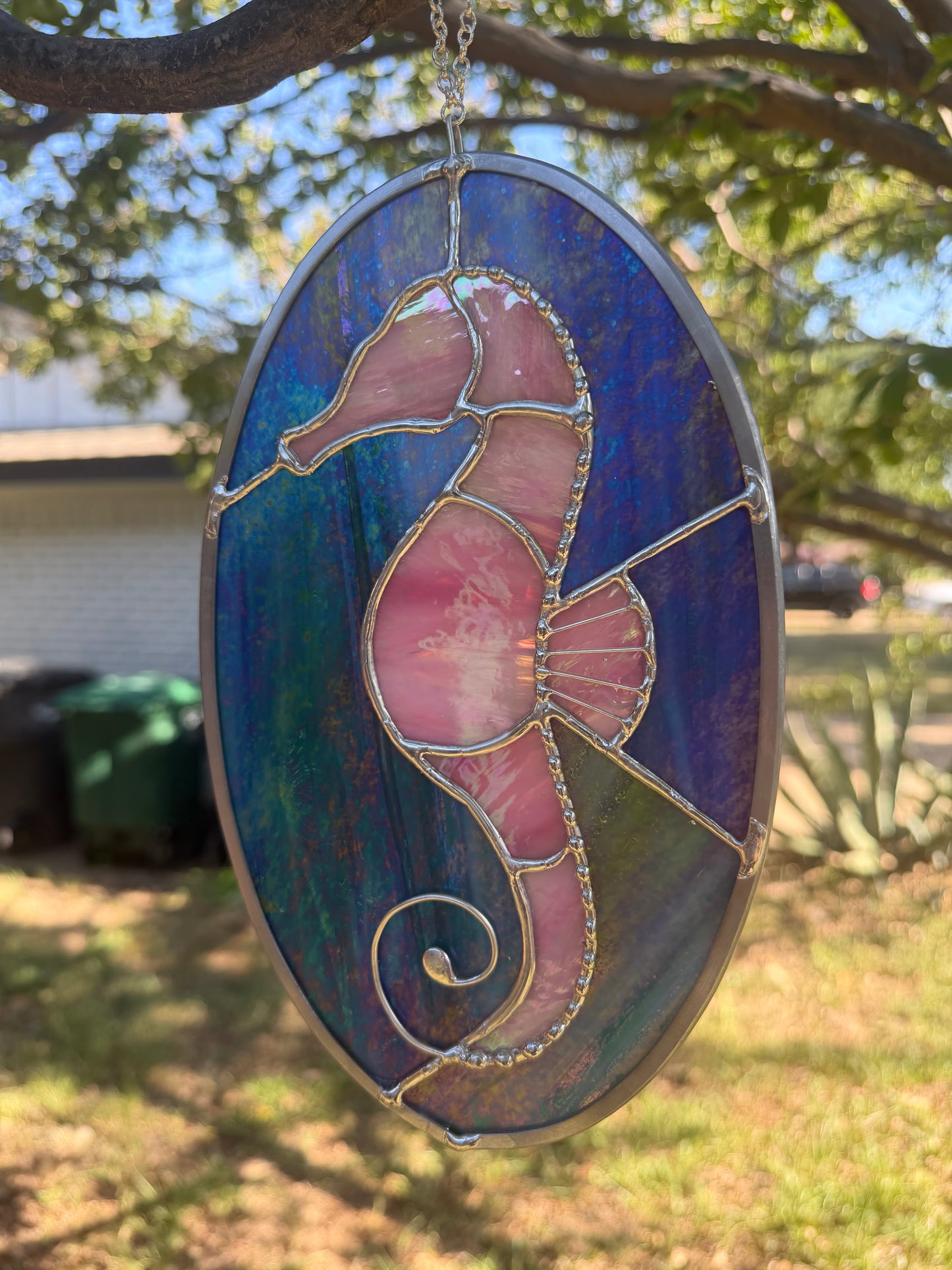 Pink seahorse