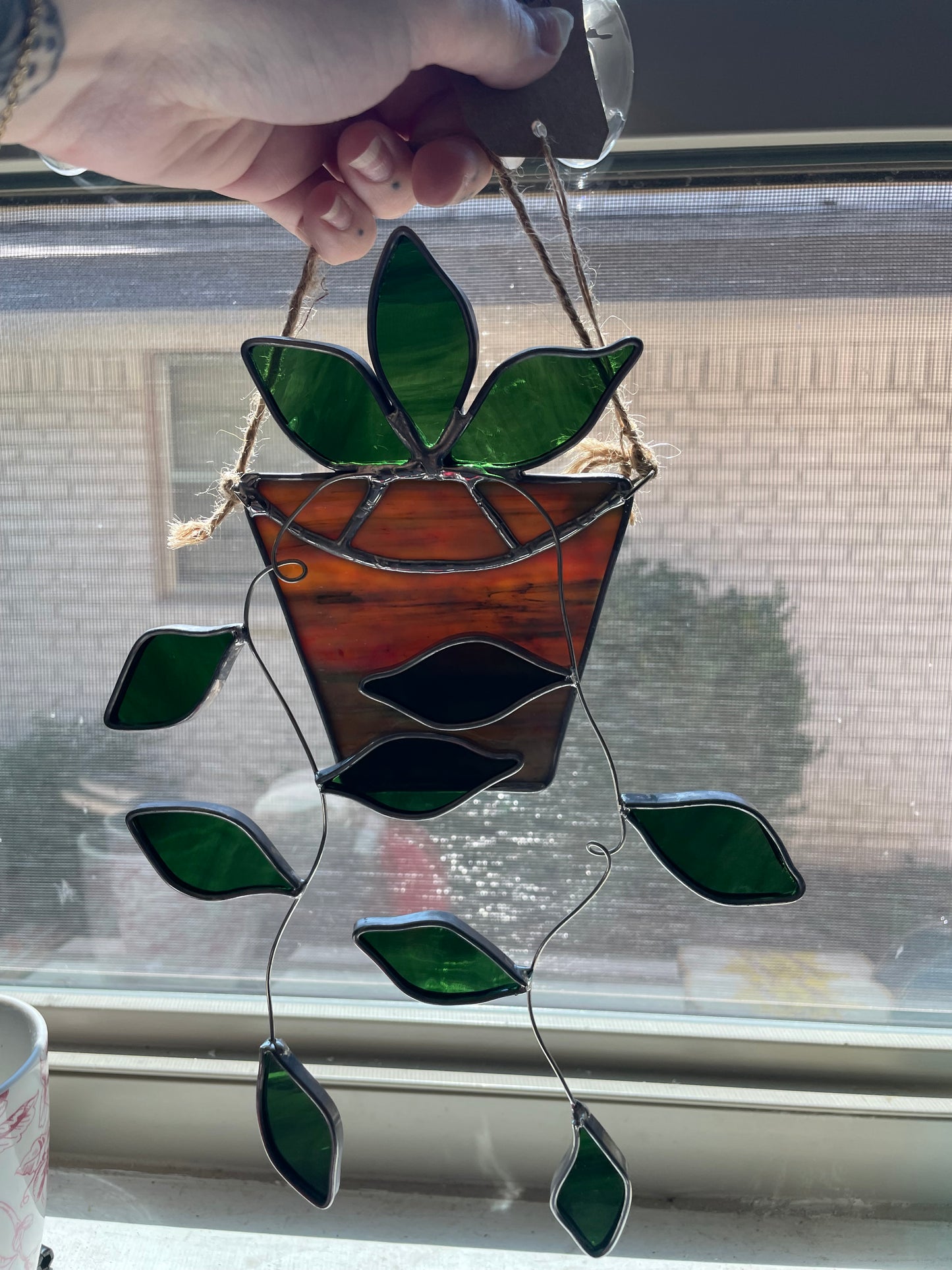 Hanging pothos in a multi-colored tan pot