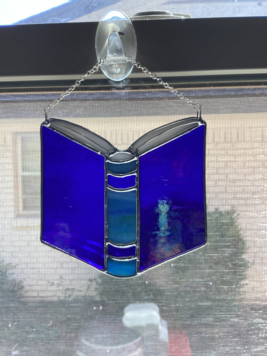 Iridescent dark blue book