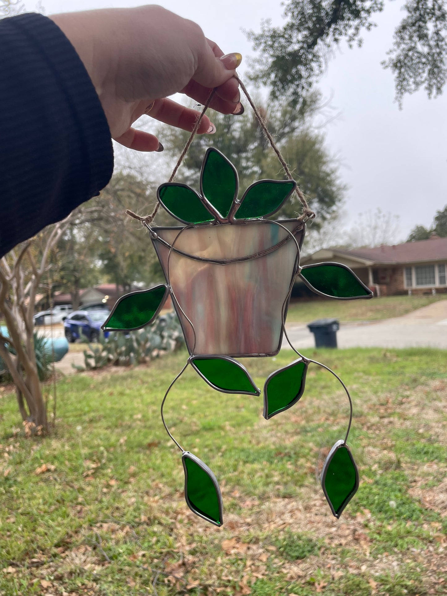 Hanging pothos plant in a marbled pot