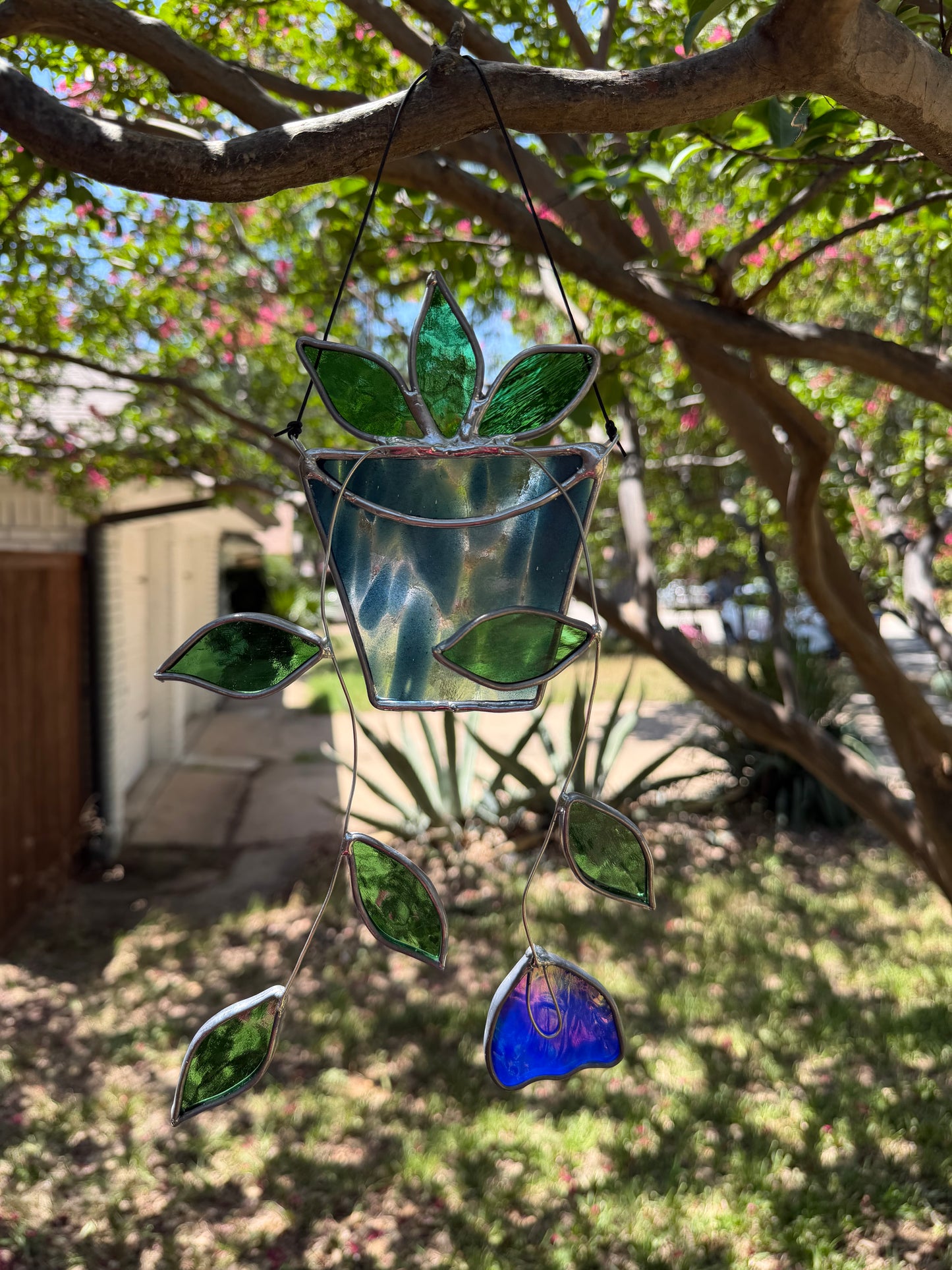 Hanging plant in translucent blue