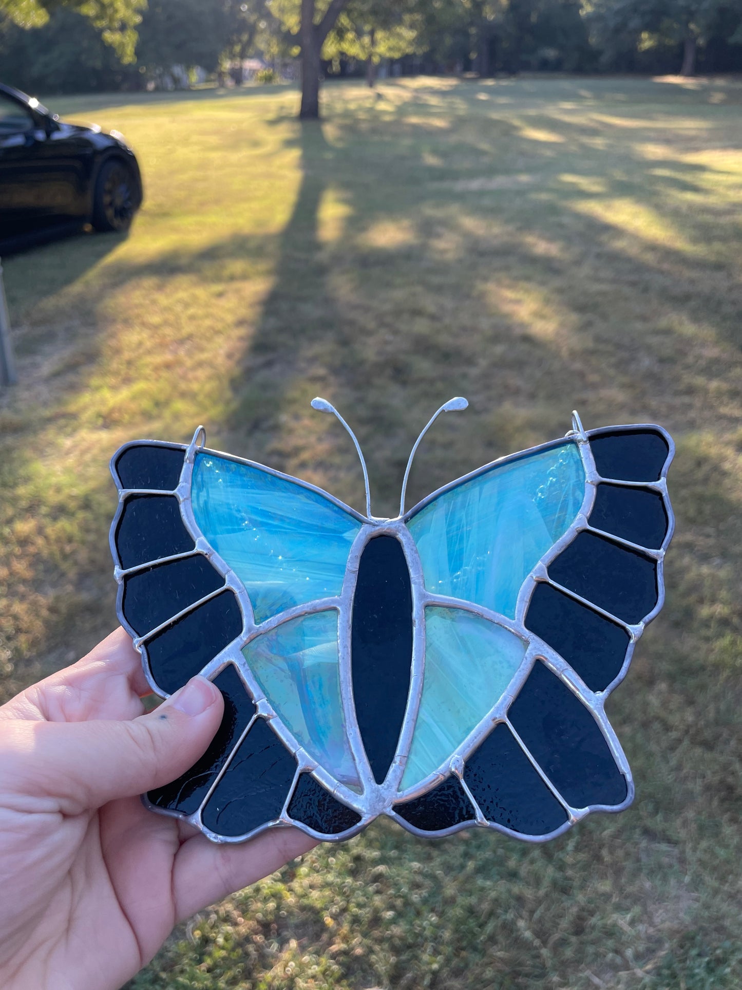 Blue butterfly
