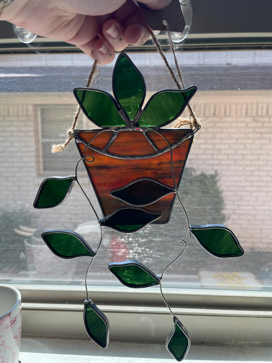 Hanging pothos in a multi-colored tan pot