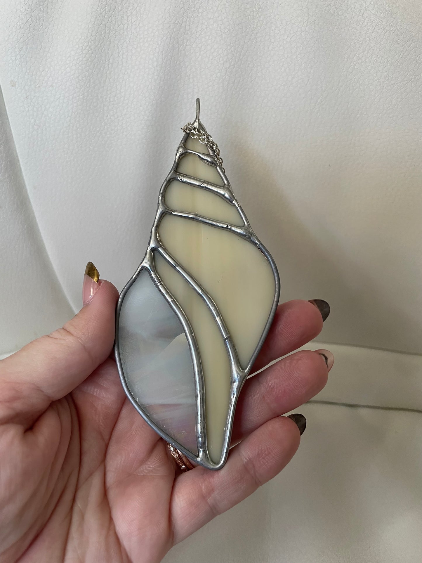 Cream iridescent seashell