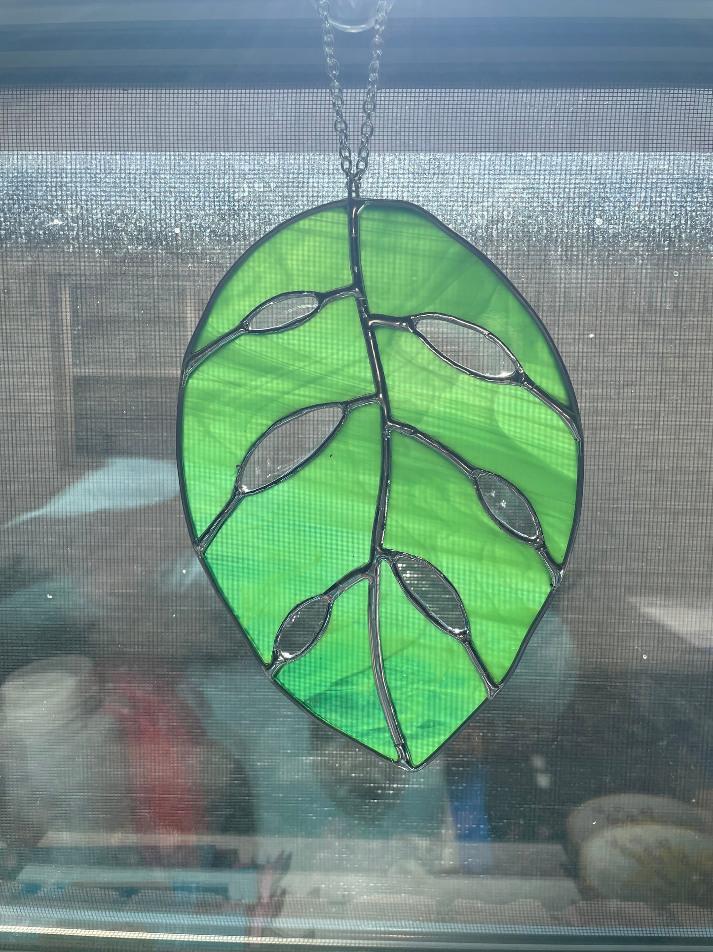 Swirled green monstera leaf