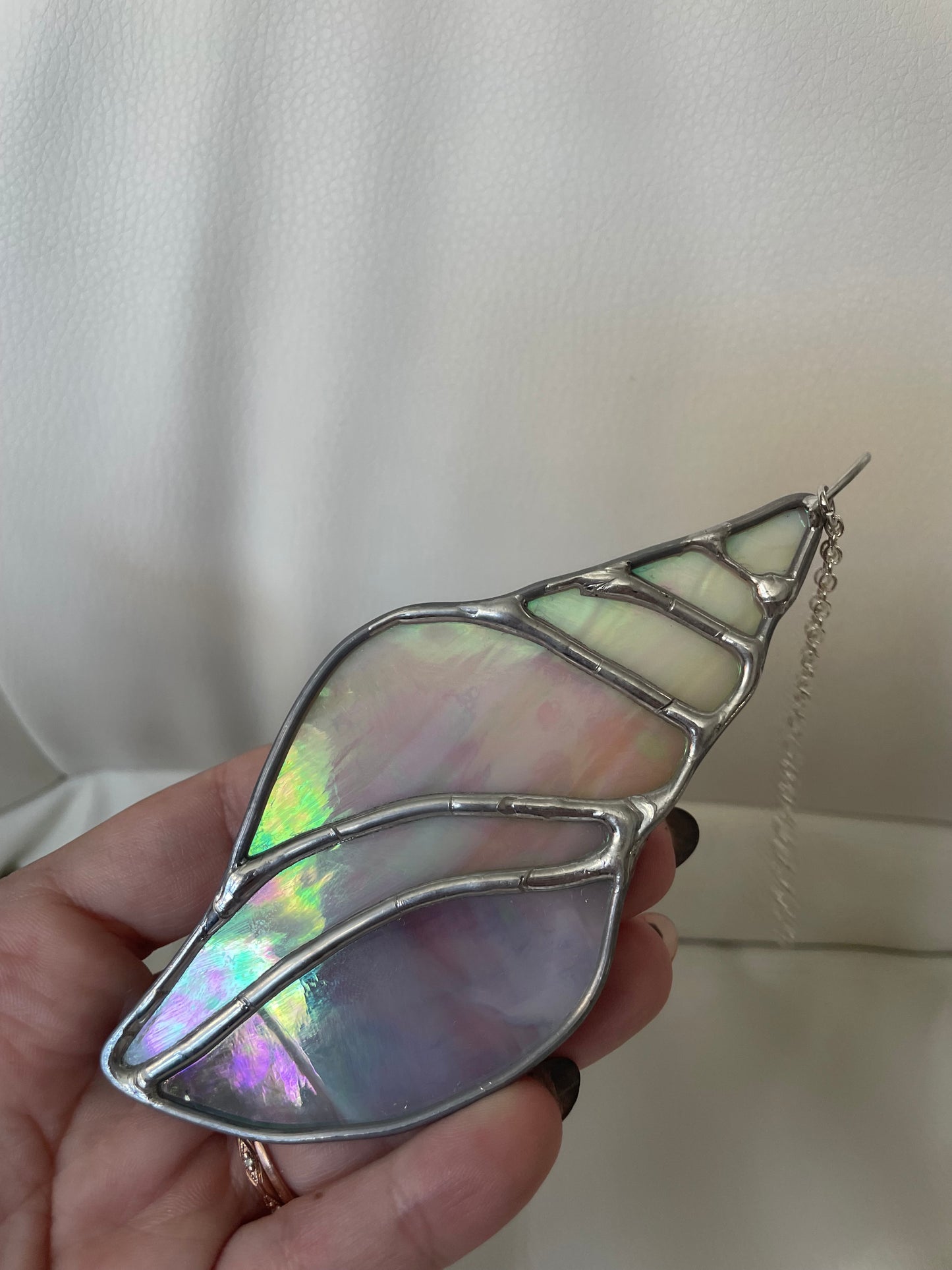 Cream iridescent seashell