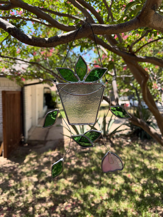 Hanging plant in gray