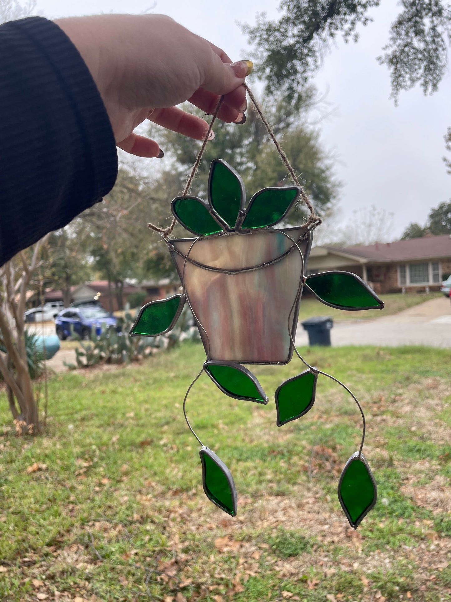 Hanging pothos plant in a marbled pot