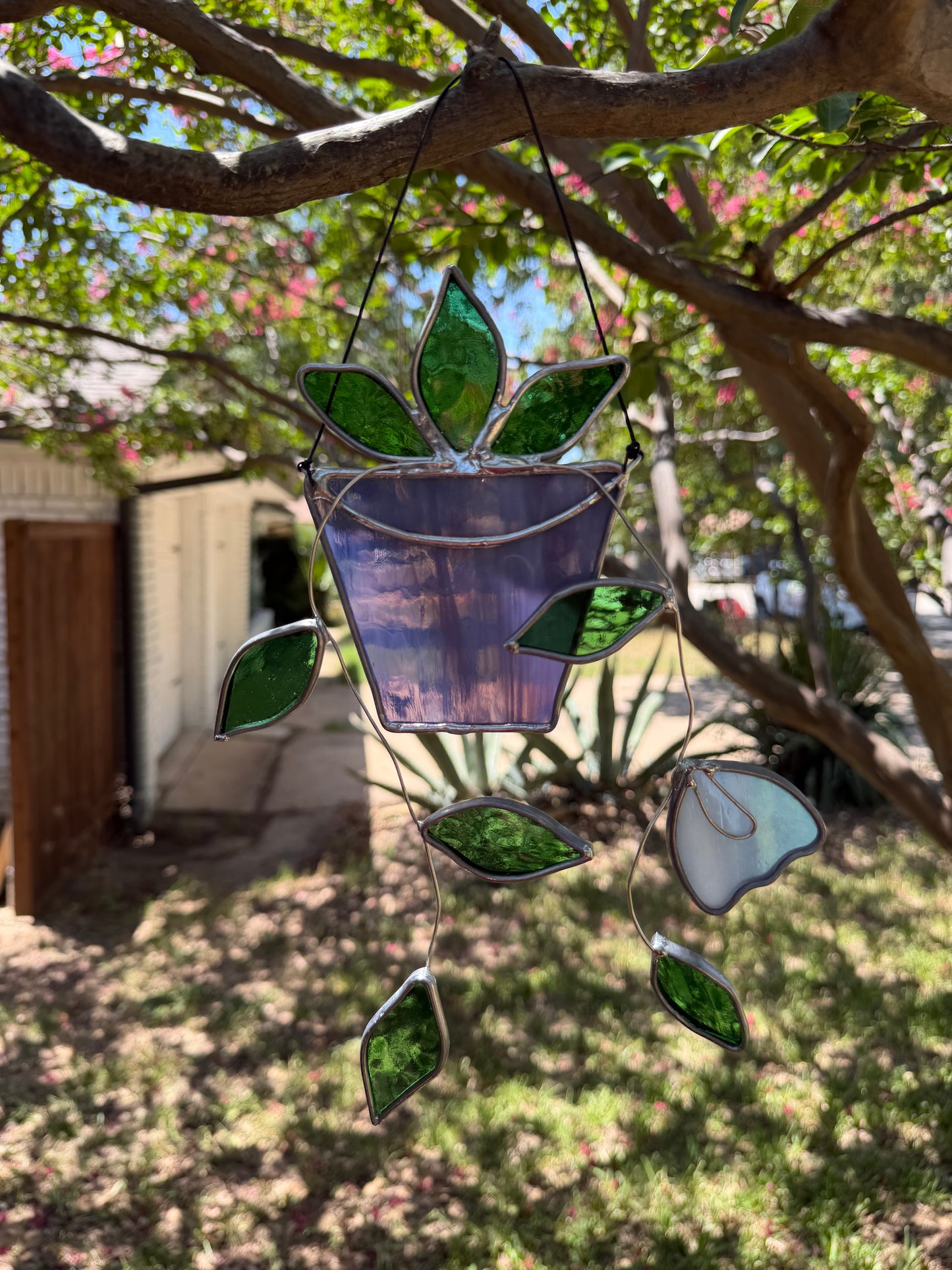 Hanging plant in purple
