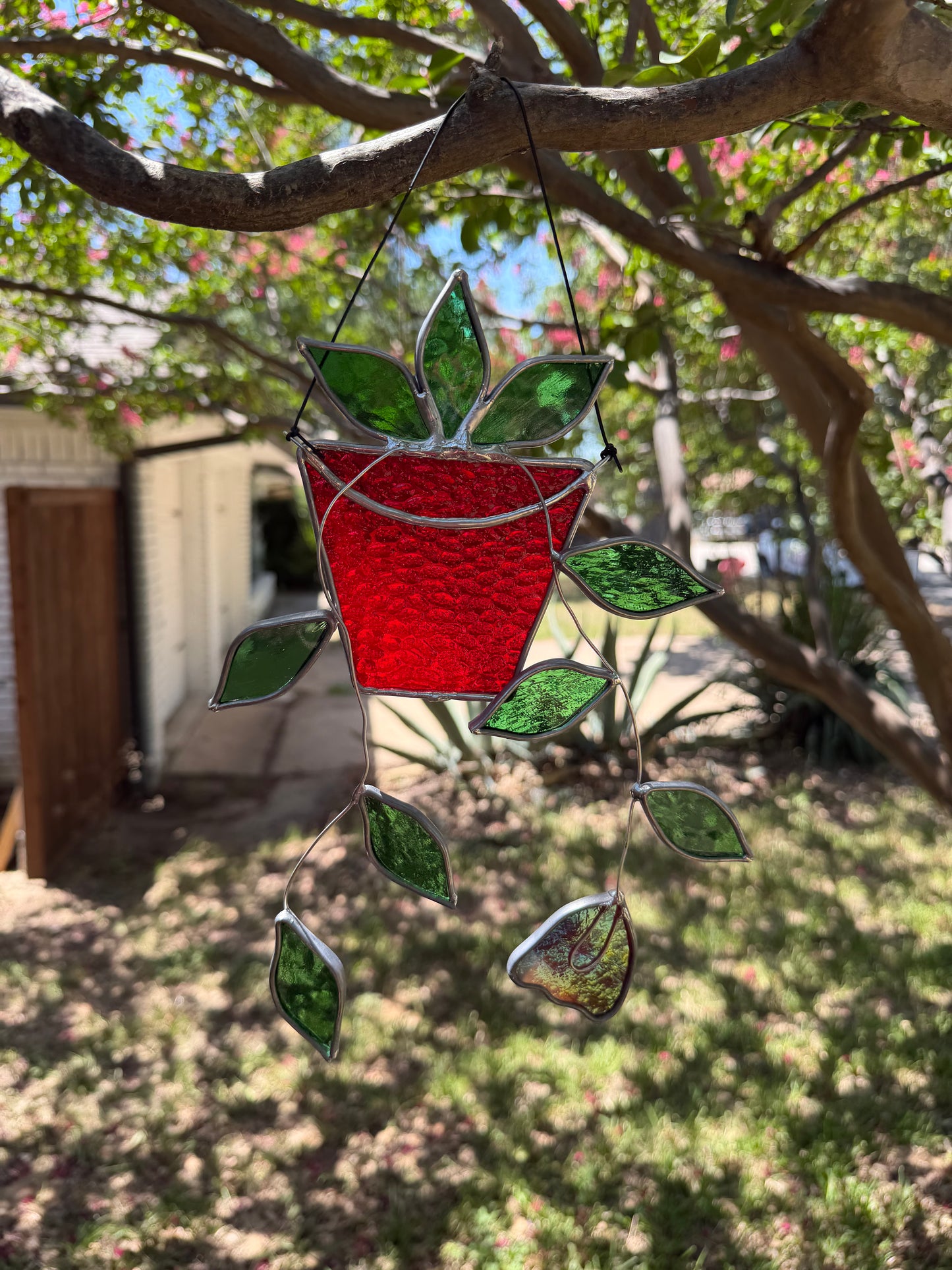 Hanging plant in red