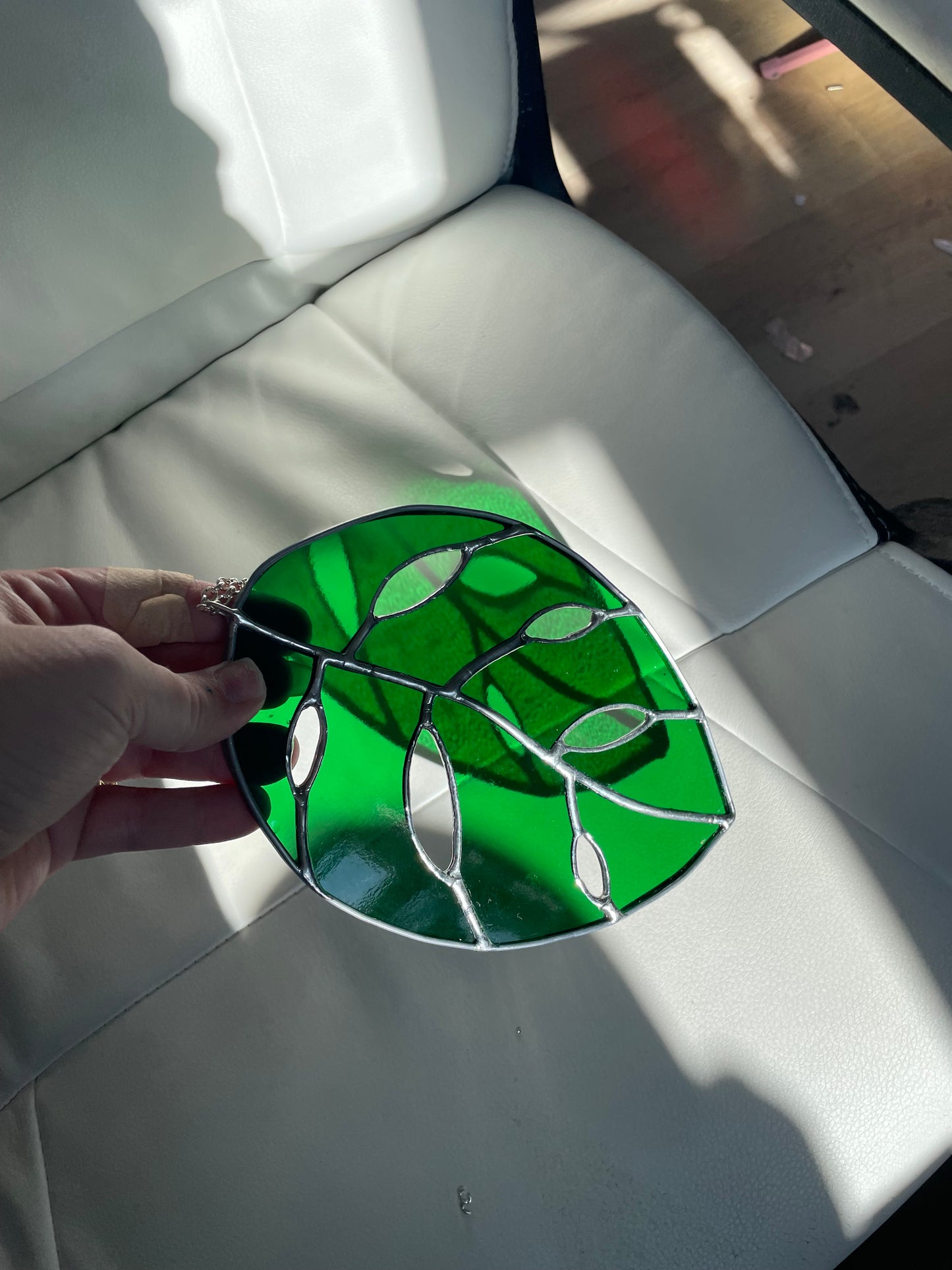 Translucent green monstera leaf