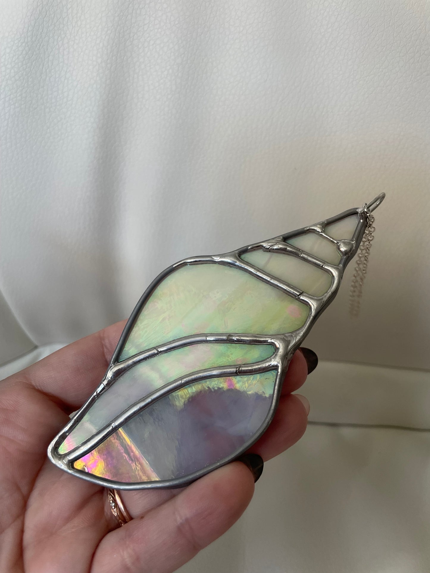 Cream iridescent seashell